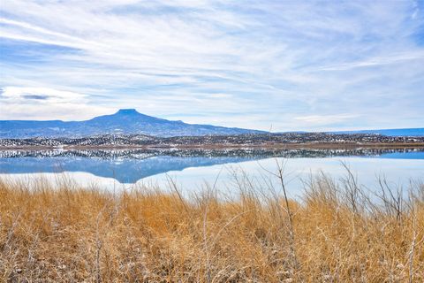 Vacant Land For Sale - LOT 24 Private Drive 1770<br/> Abiquiu, NM 87510