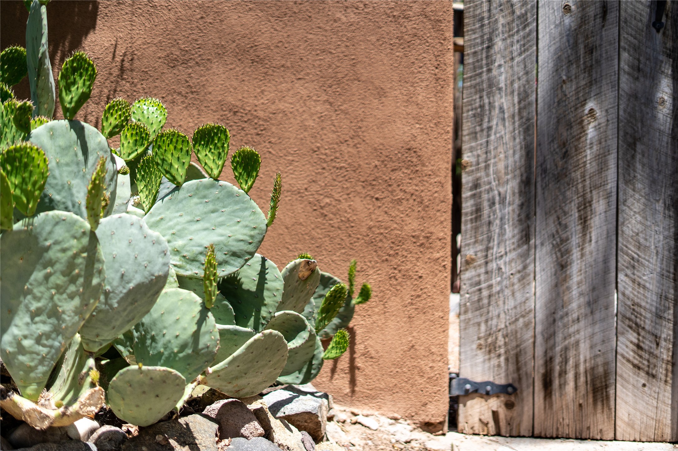3 Waldo St, Cerrillos, New Mexico image 49