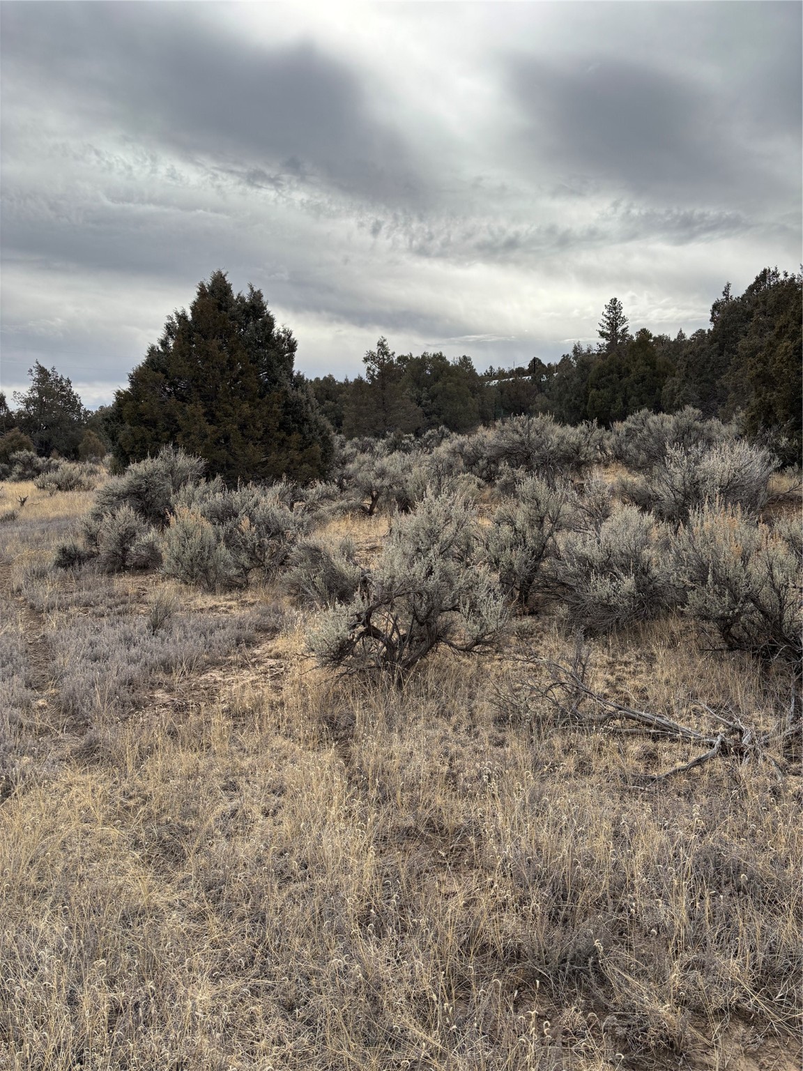 Lots 2 & 3 Parkview Hills, Los Ojos, New Mexico image 10