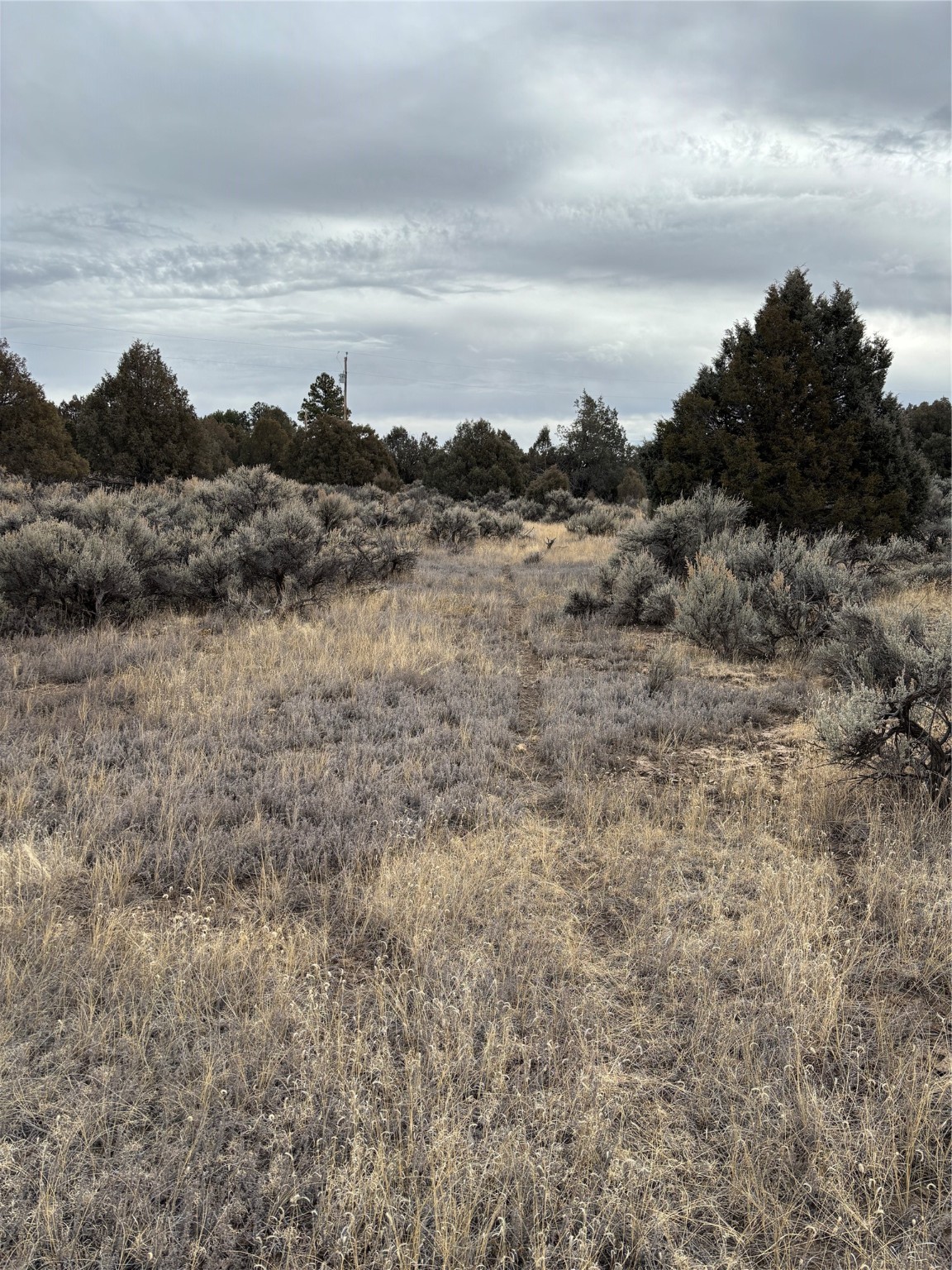 Lots 2 & 3 Parkview Hills, Los Ojos, New Mexico image 8