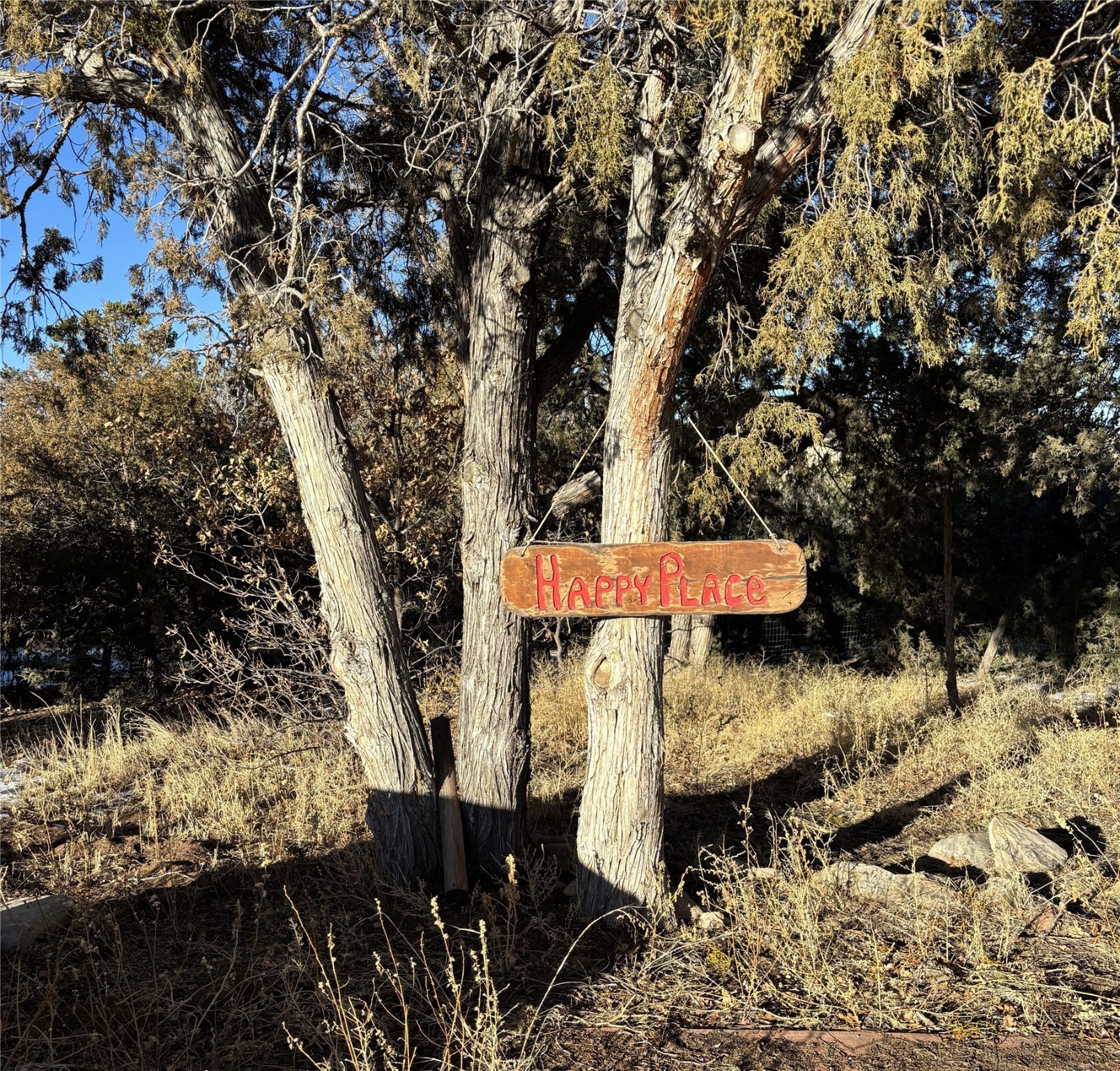 1798 Nm-96, Gallina, New Mexico image 1