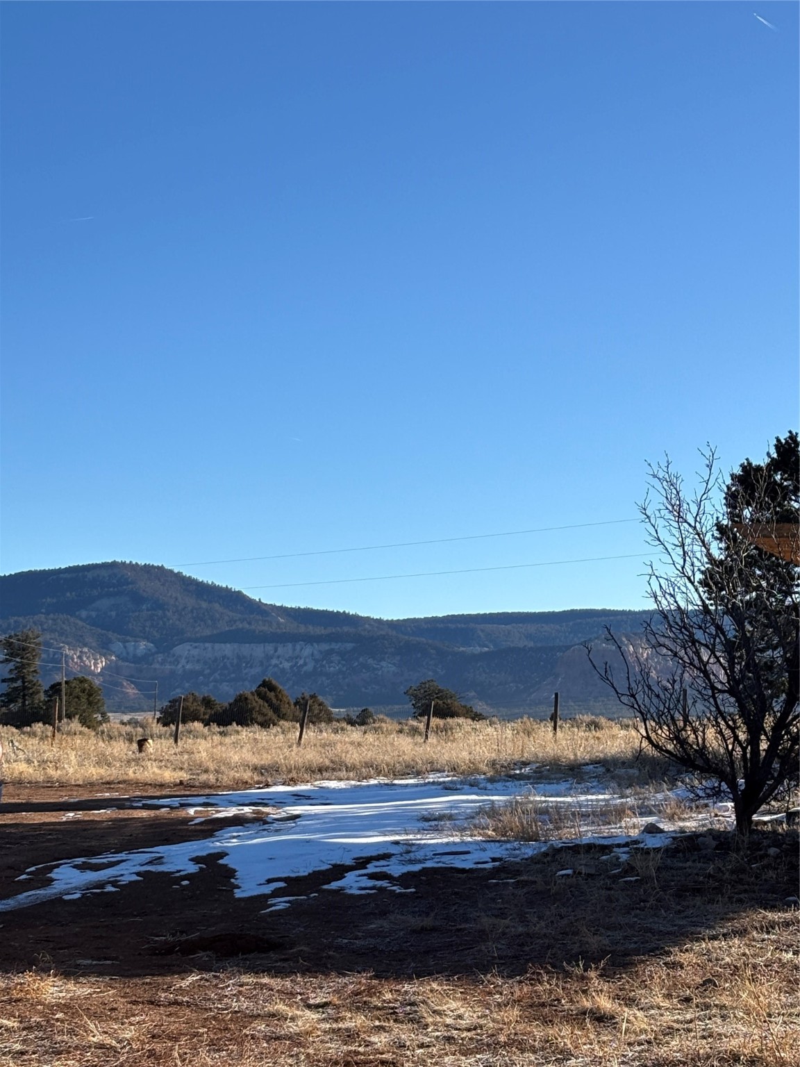 1798 Nm-96, Gallina, New Mexico image 6