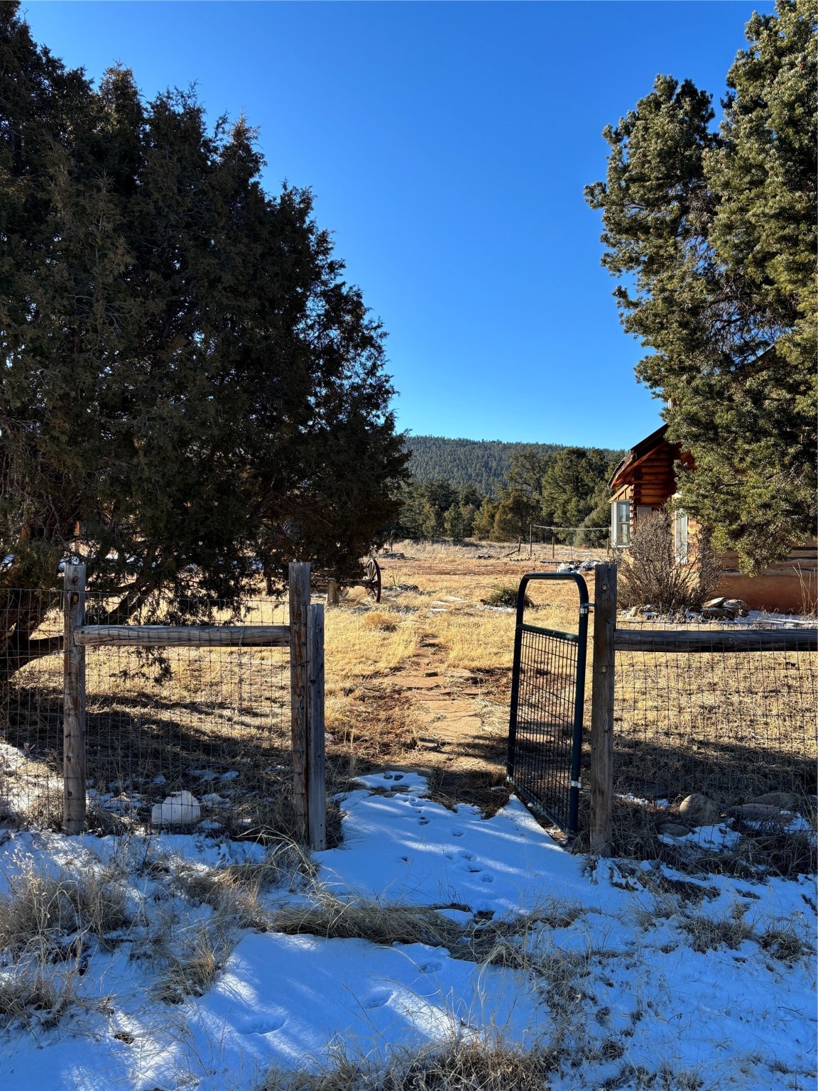 1798 Nm-96, Gallina, New Mexico image 10