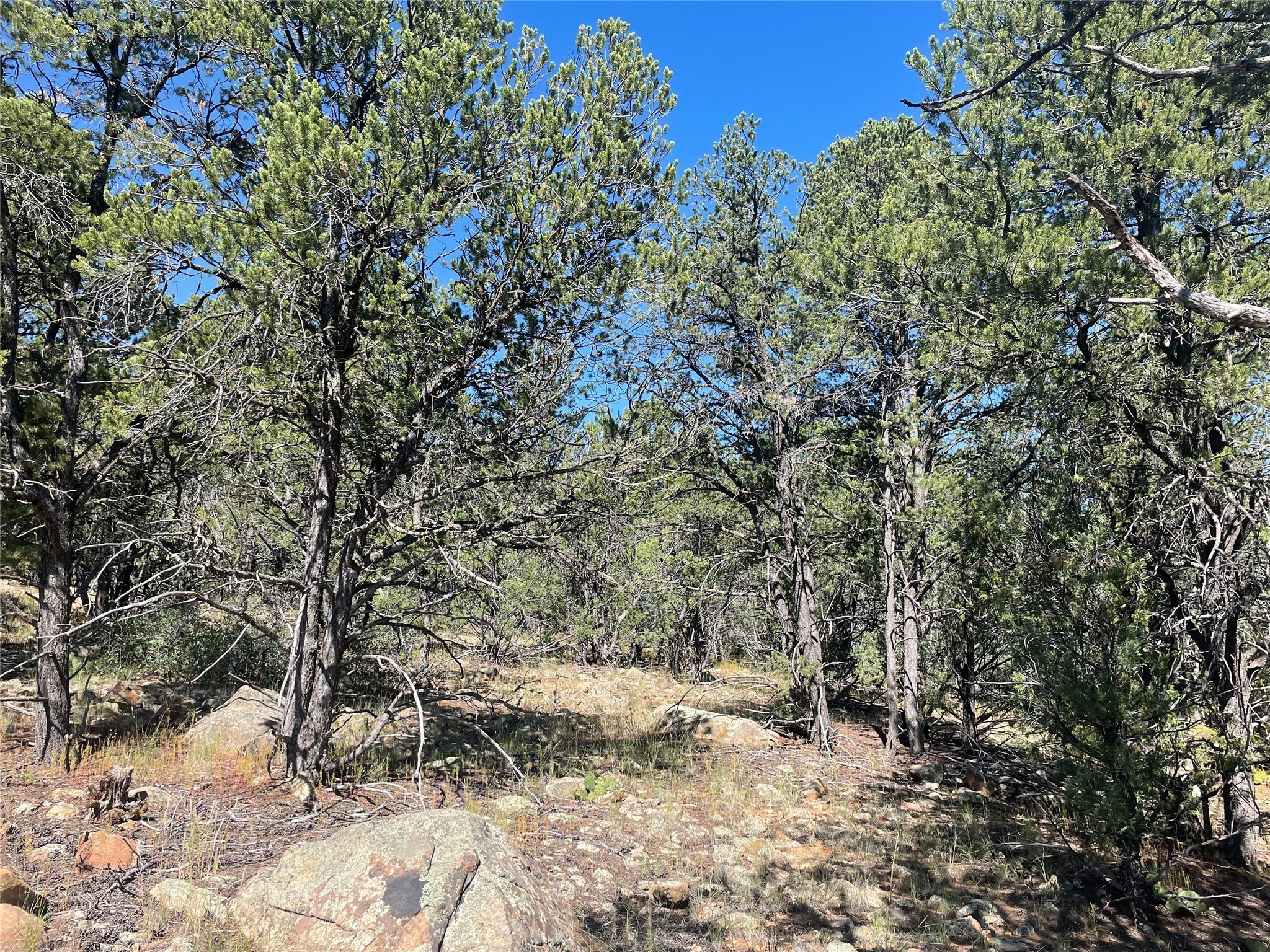 Lot 5B4 Wildflower Lane, Rowe, New Mexico image 15