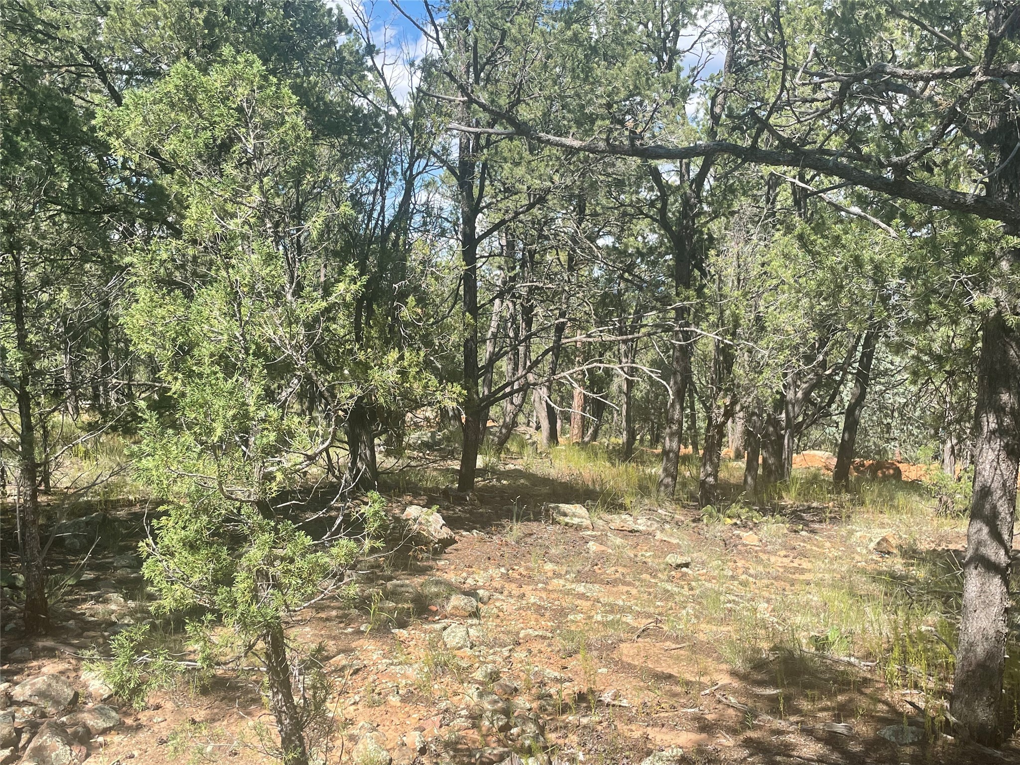 Lot 5B4 Wildflower Lane, Rowe, New Mexico image 6