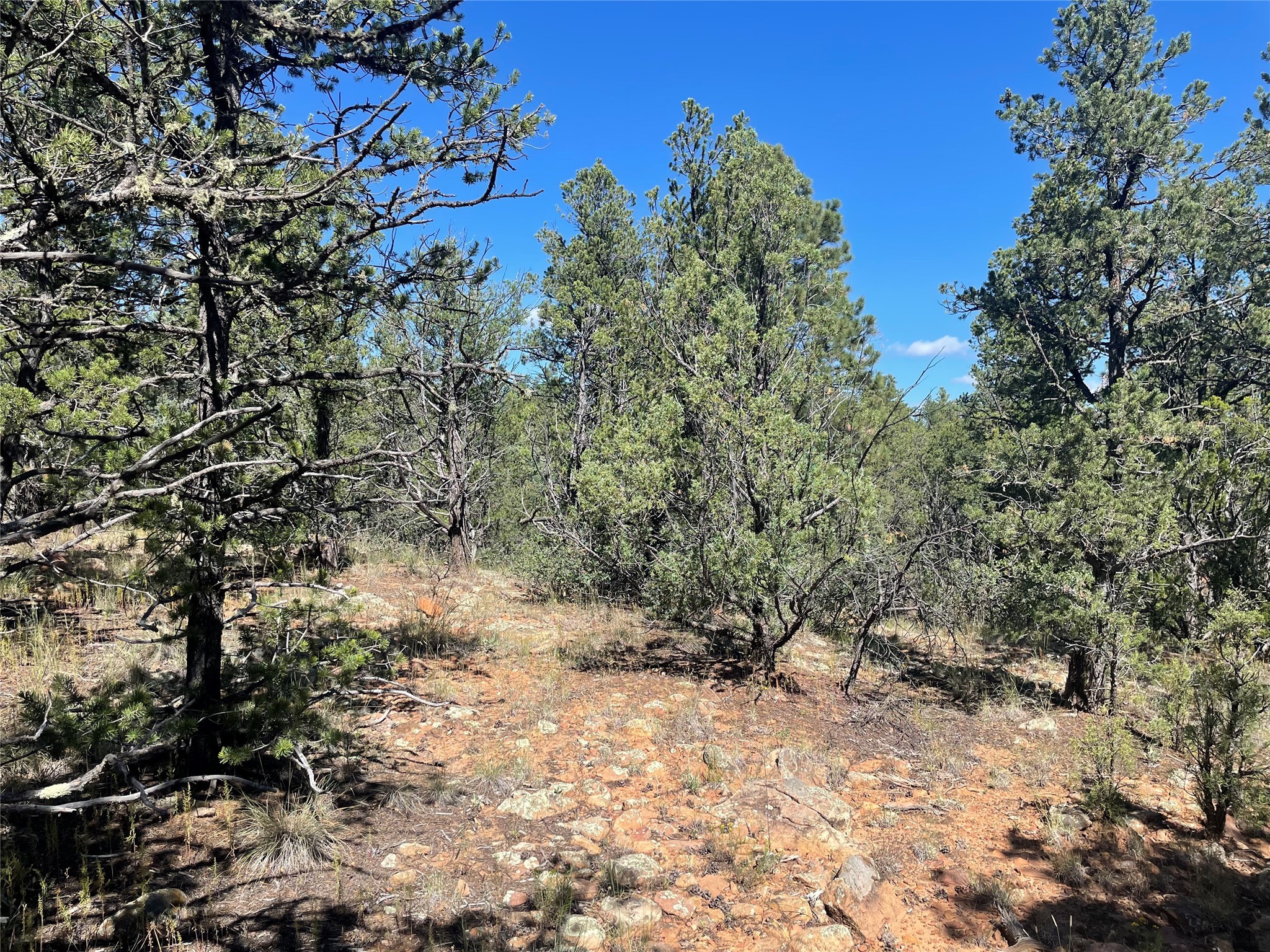 Lot 5B4 Wildflower Lane, Rowe, New Mexico image 5