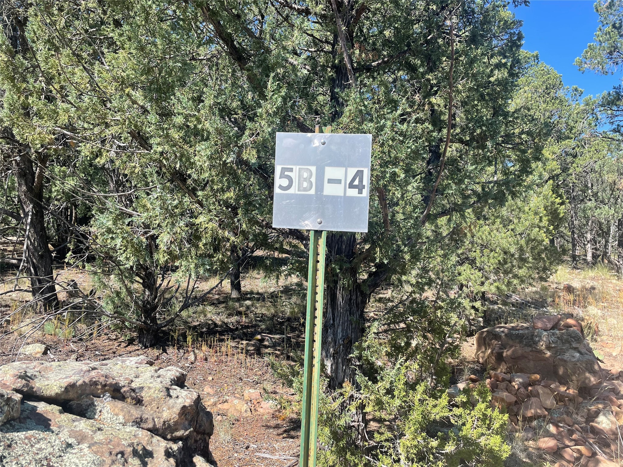 Lot 5B4 Wildflower Lane, Rowe, New Mexico image 12