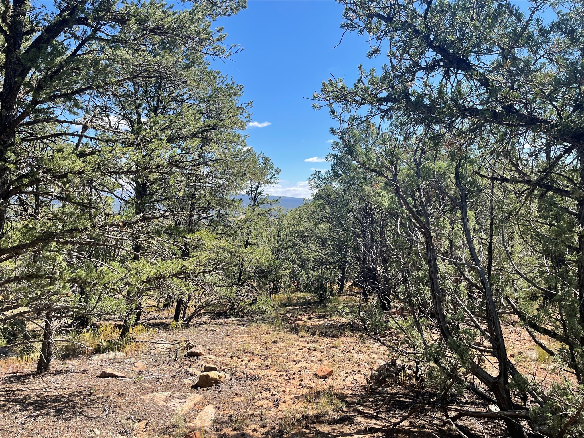 Lot 5B4 Wildflower Lane, Rowe, New Mexico image 7