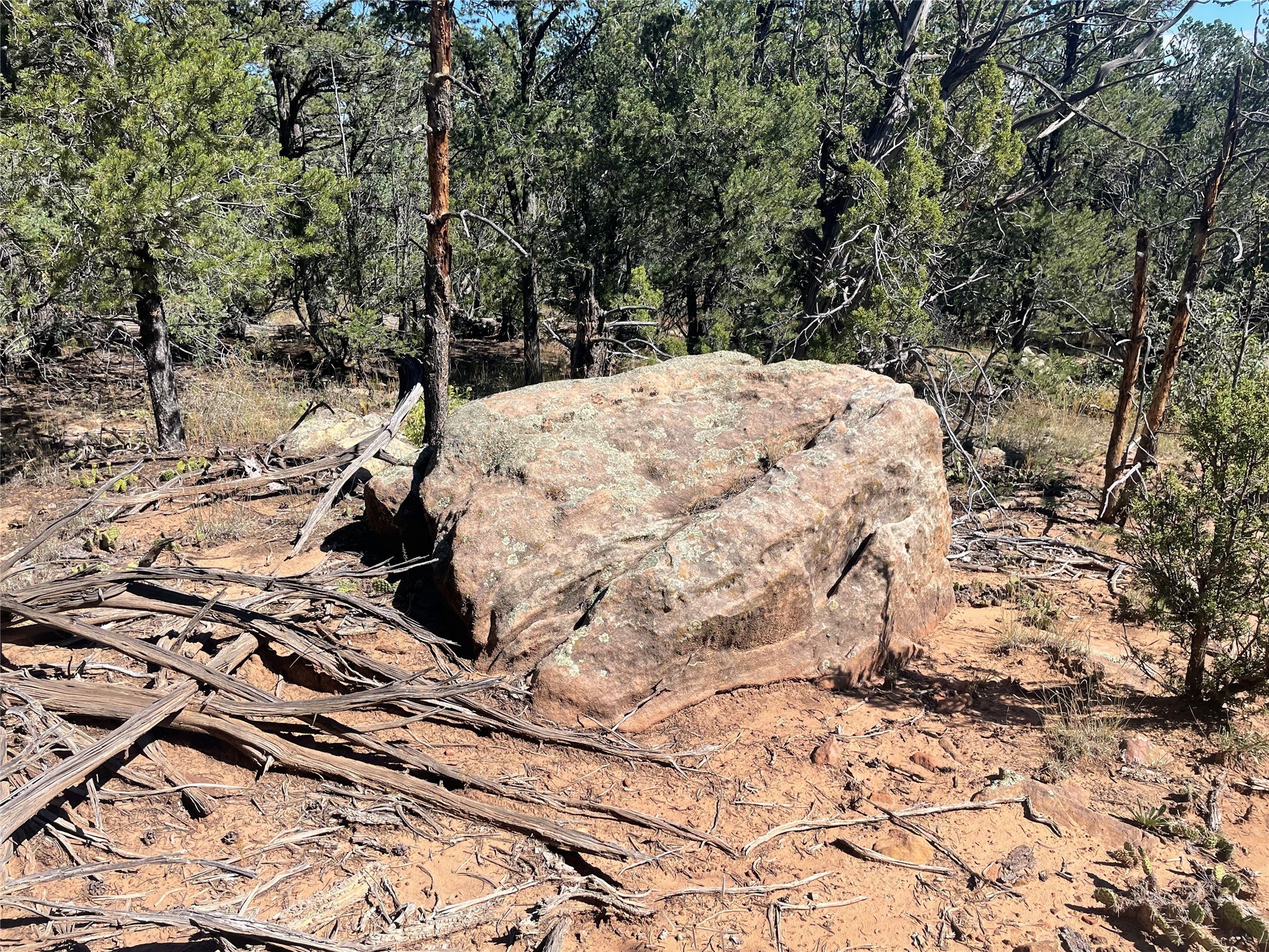 Lot 5B4 Wildflower Lane, Rowe, New Mexico image 4