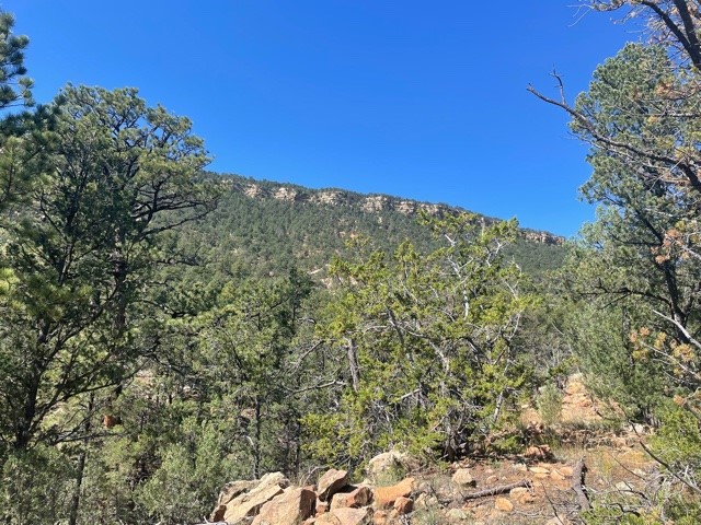 Lot 5B4 Wildflower Lane, Rowe, New Mexico image 3