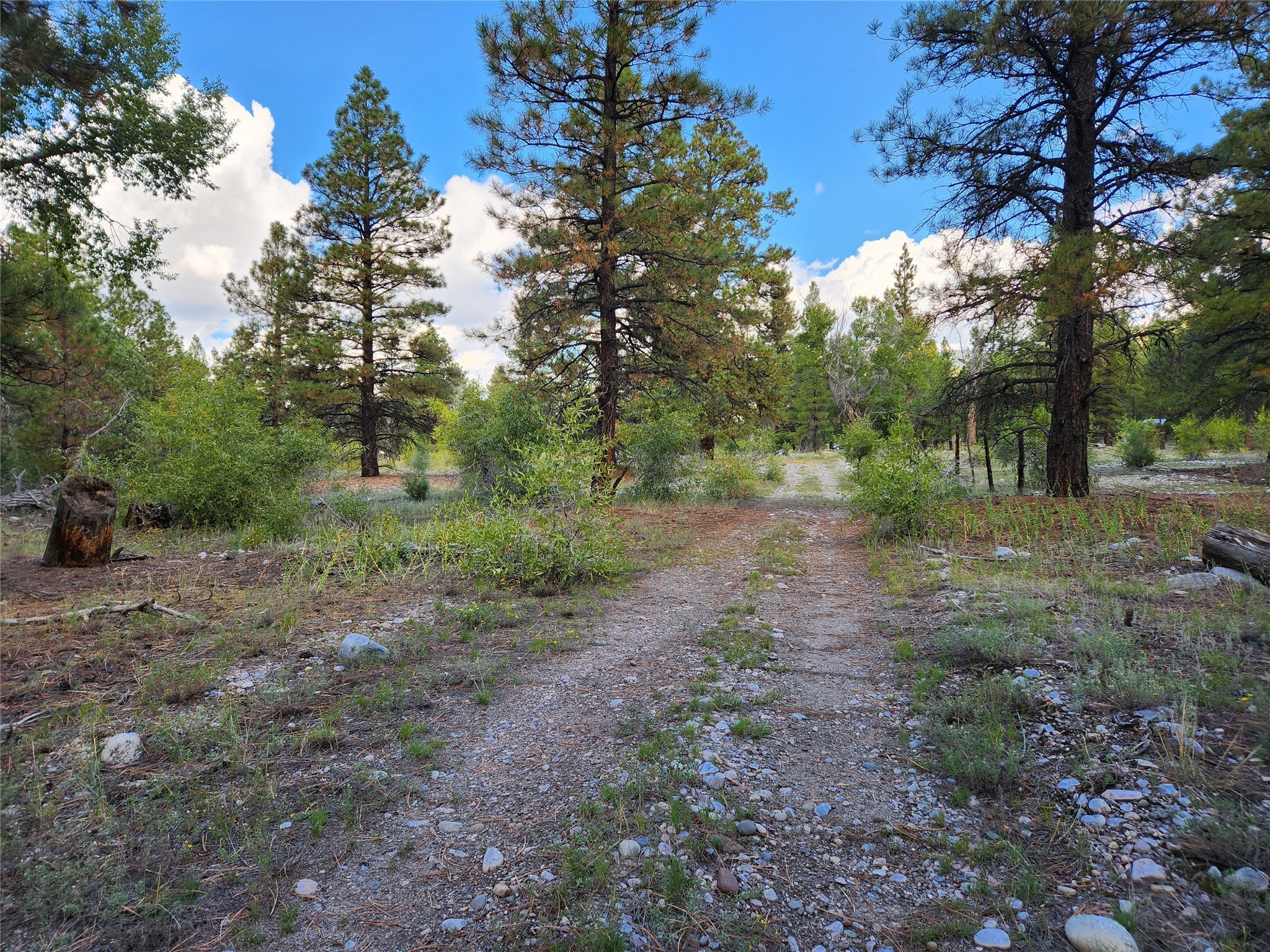 TBD St Rd 512, Chama, New Mexico image 17