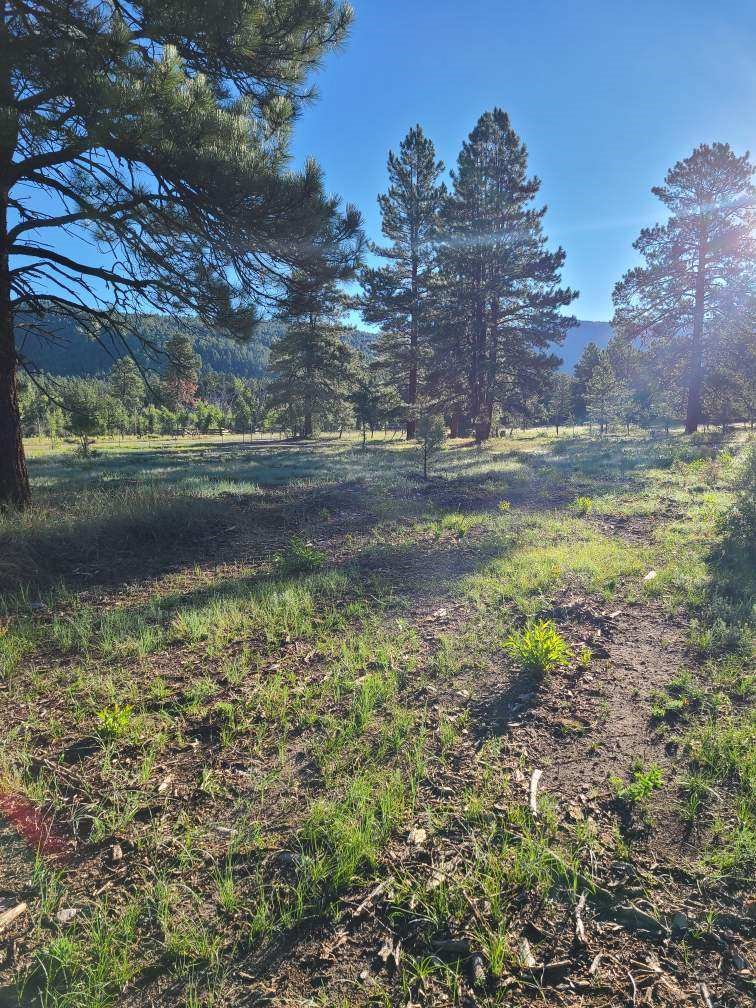 TBD St Rd 512, Chama, New Mexico image 7