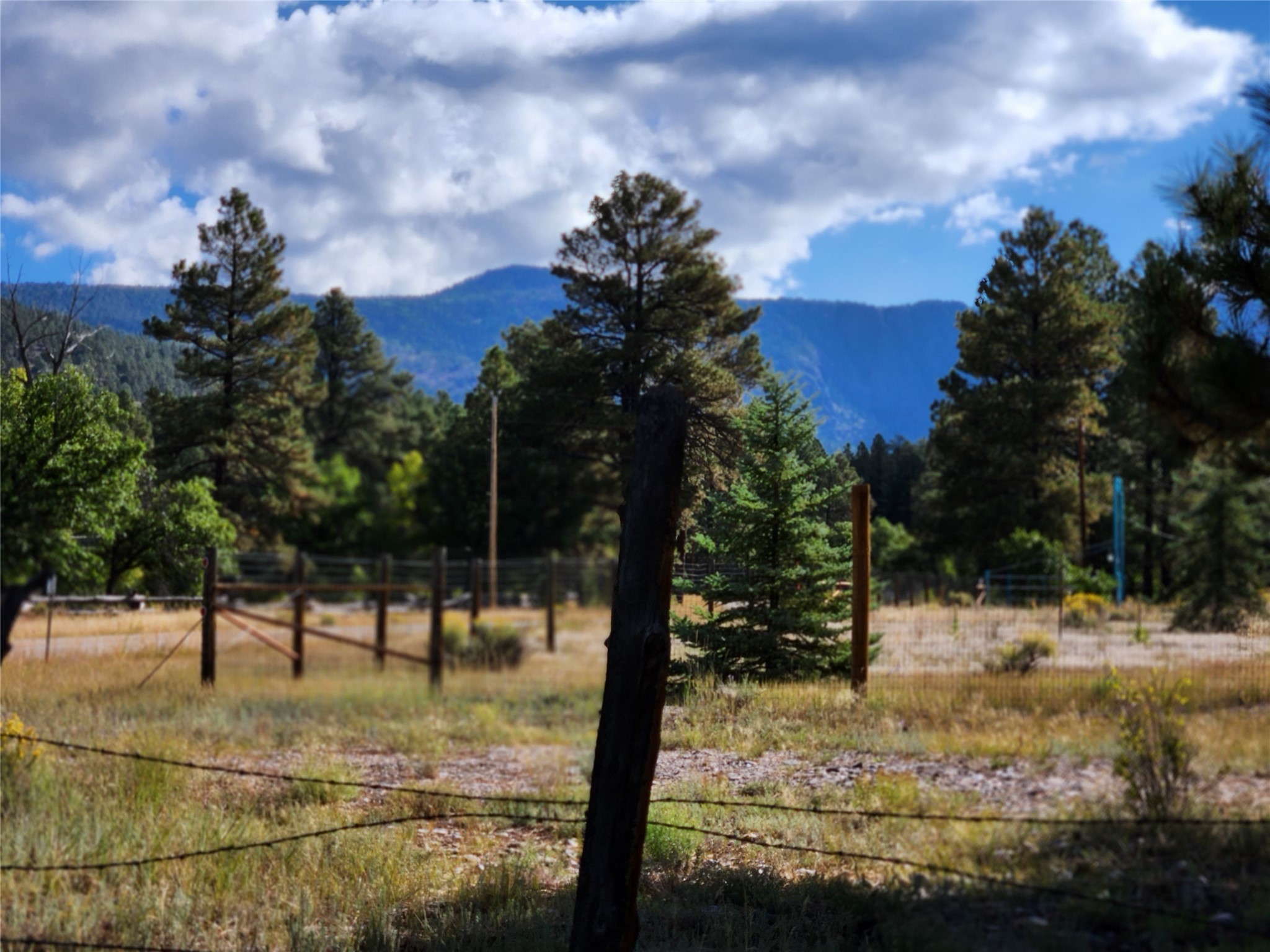 TBD St Rd 512, Chama, New Mexico image 9