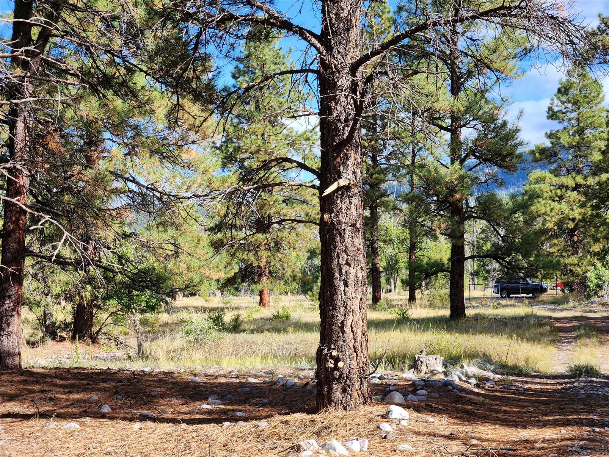 TBD St Rd 512, Chama, New Mexico image 13