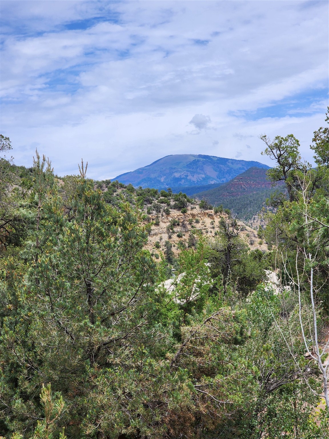 843 Redondo Road Rd, Jemez Springs, New Mexico image 20