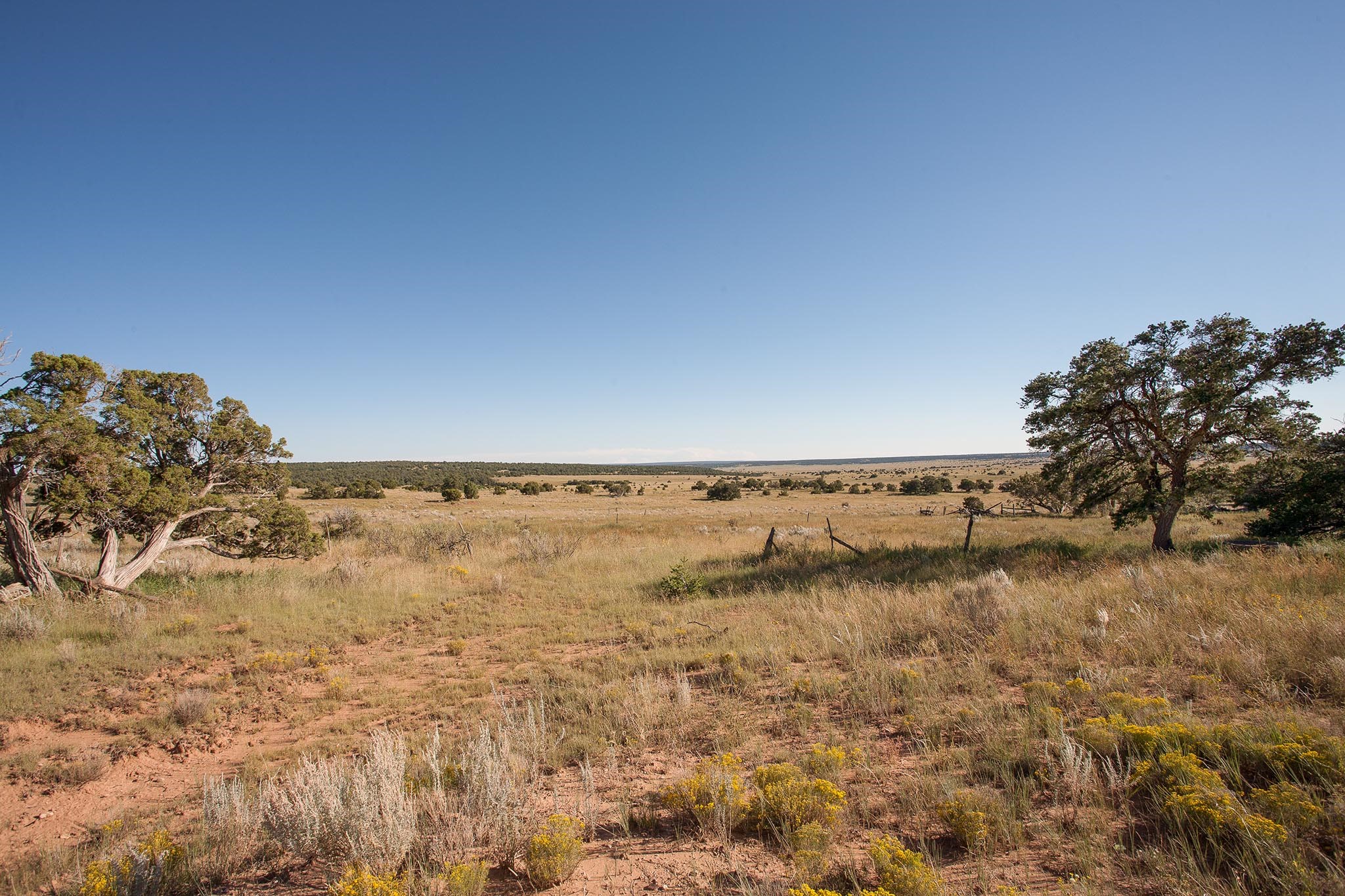 Mile Marker 13 Nm Hwy 34, Rowe, New Mexico image 13