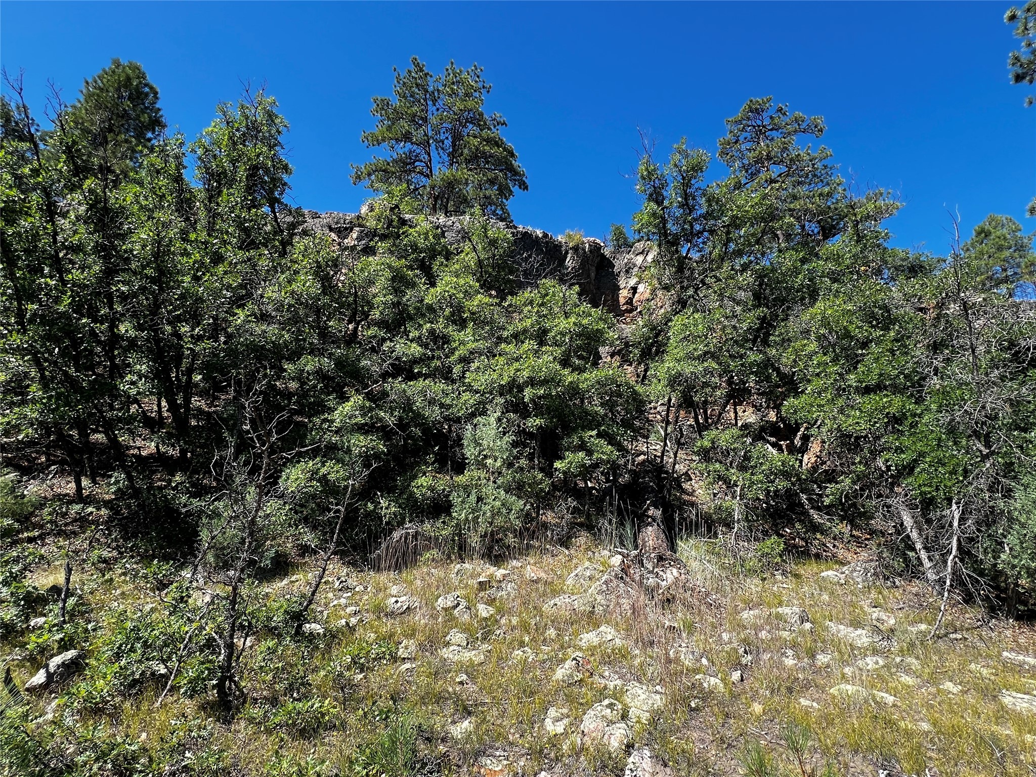 TBD Shroyer Drive, Los Ojos, New Mexico image 8