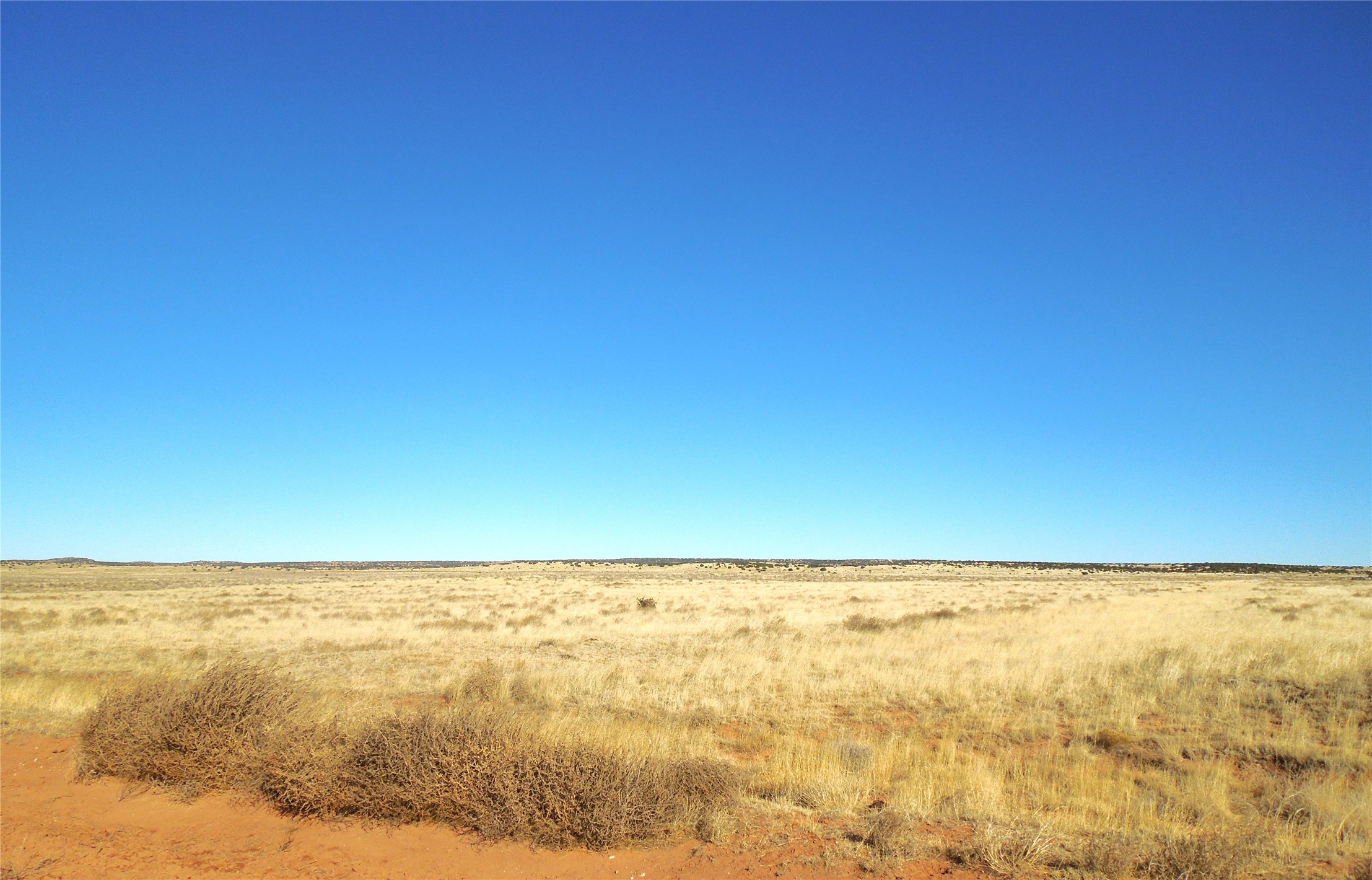 Lot 20-22 Block 8 Tract 12, Estancia, New Mexico image 3