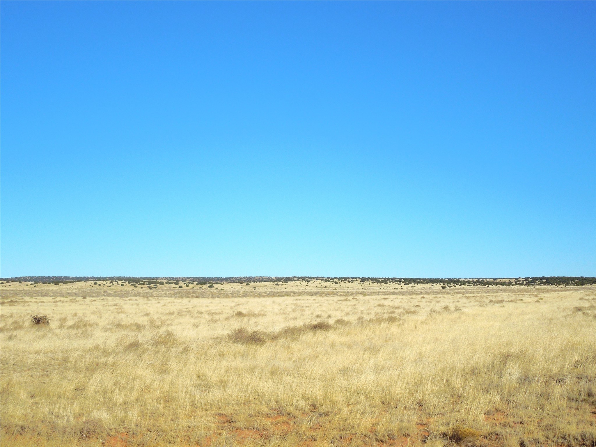 Lot 20-22 Block 8 Tract 12, Estancia, New Mexico image 4