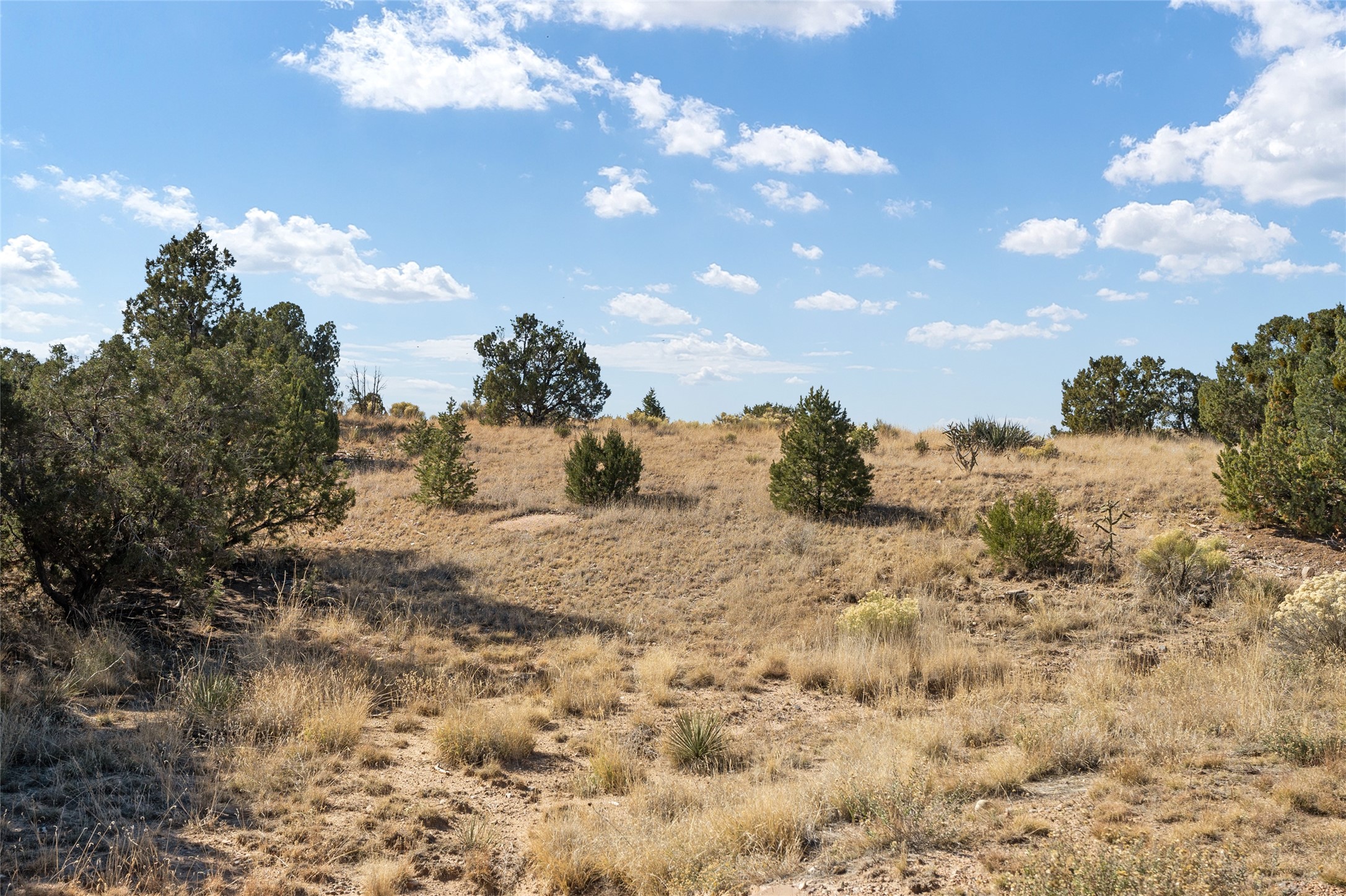 8 Deer Dancer, Santa Fe, New Mexico image 12