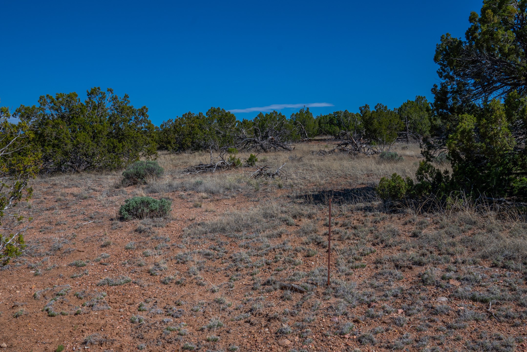 70 Estrada Calabasa, Santa Fe, New Mexico image 14