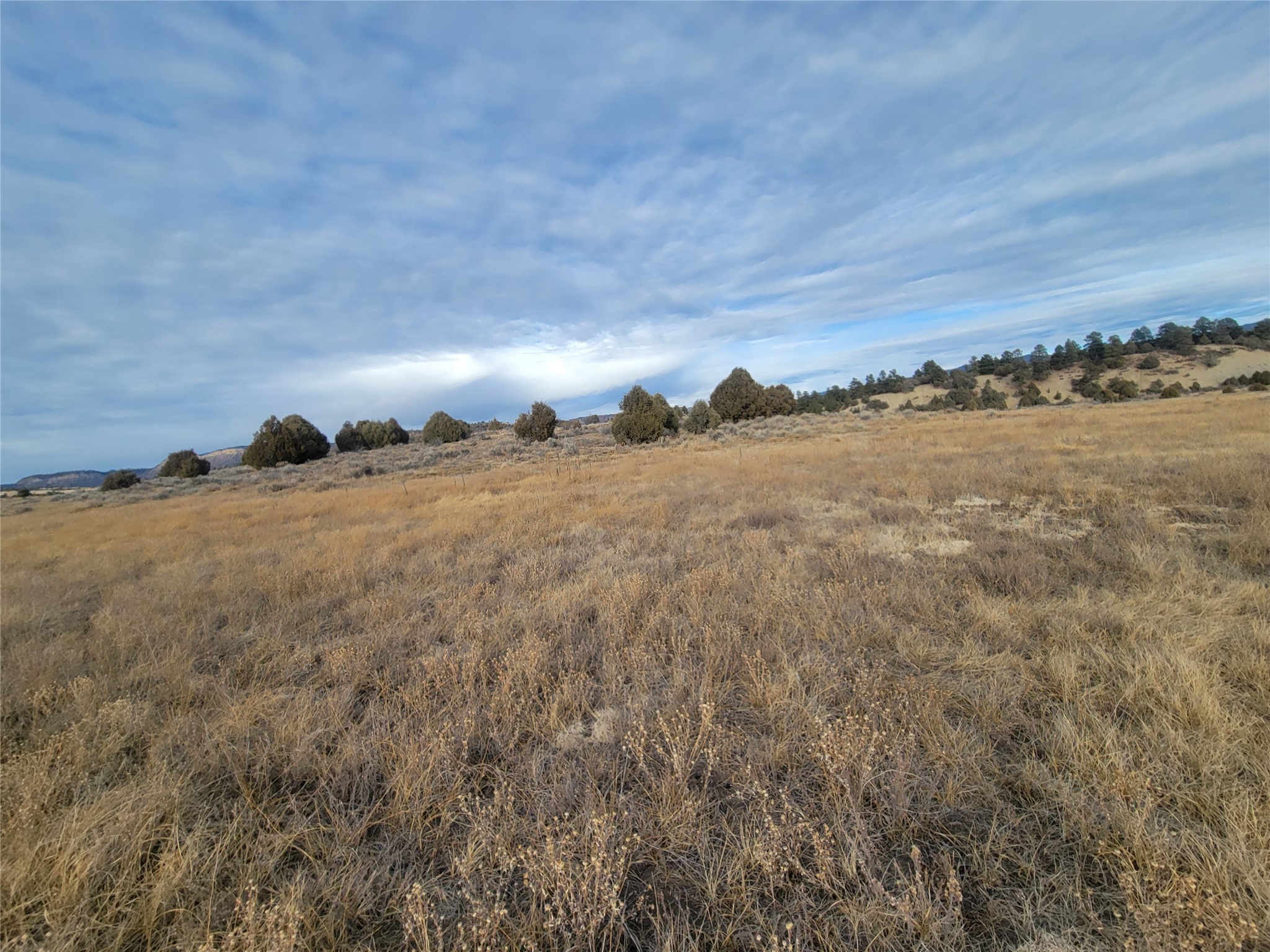 N3 Willow Way, Chama, New Mexico image 36