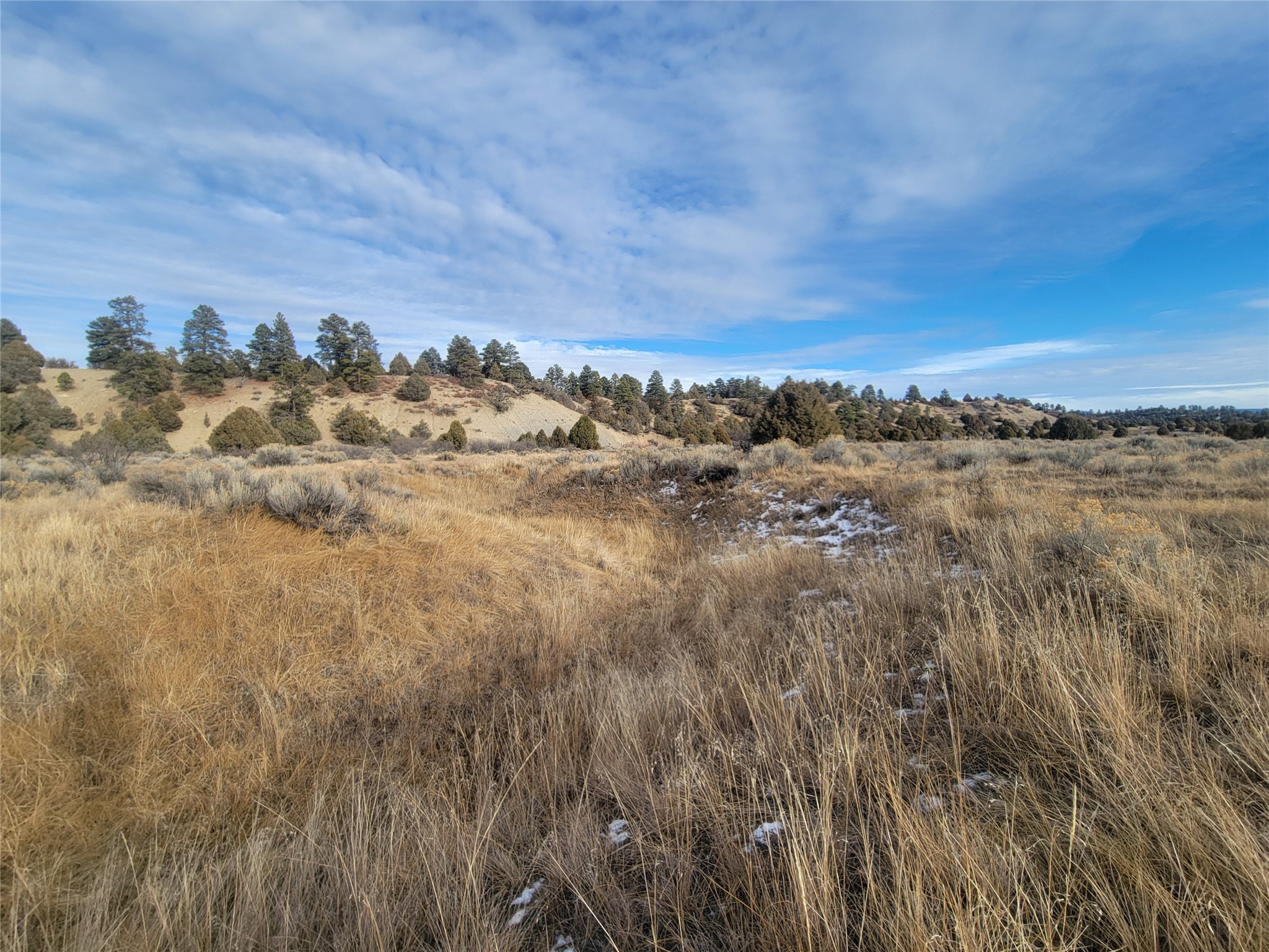 N3 Willow Way, Chama, New Mexico image 2
