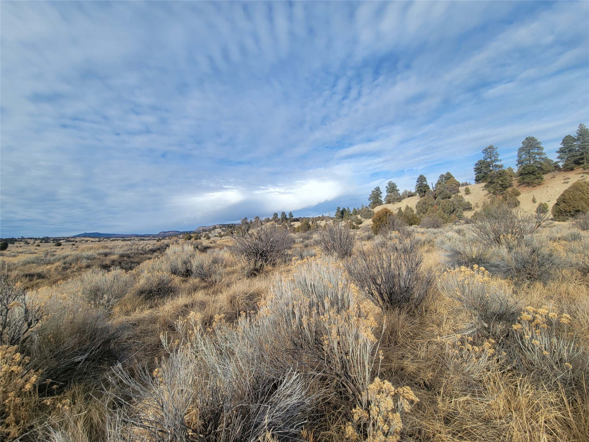 N3 Willow Way, Chama, New Mexico image 29