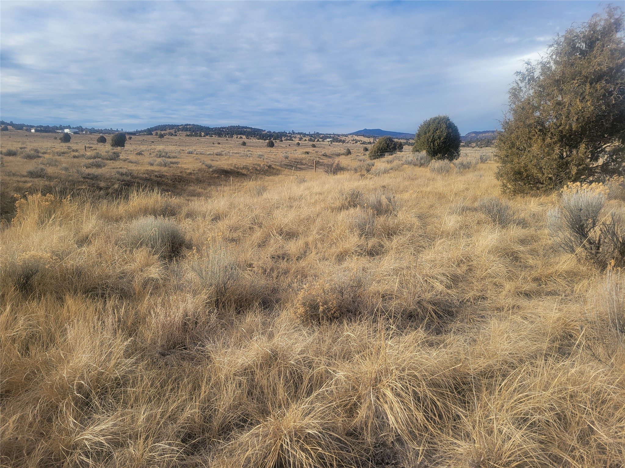N3 Willow Way, Chama, New Mexico image 24
