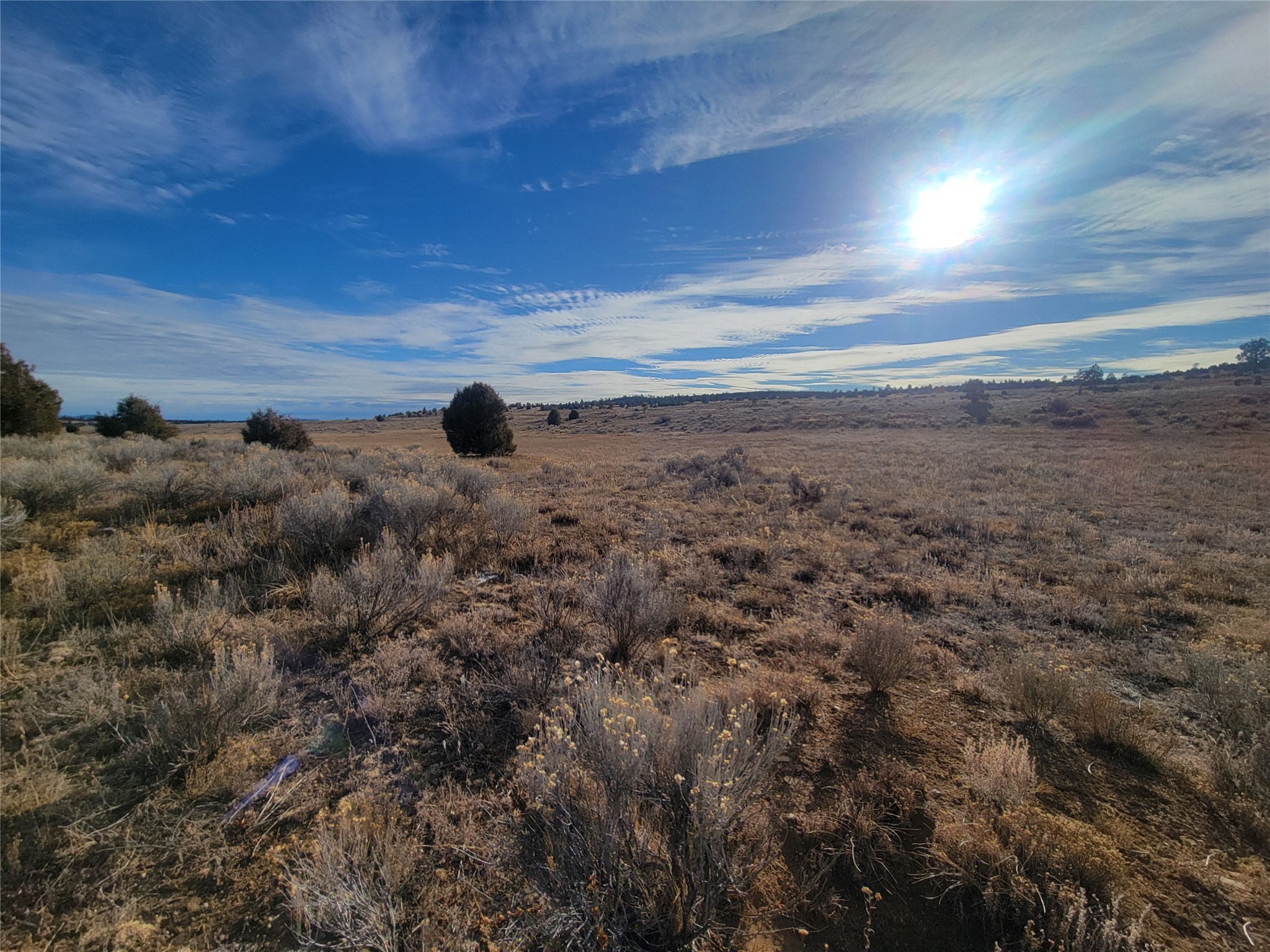 N3 Willow Way, Chama, New Mexico image 11