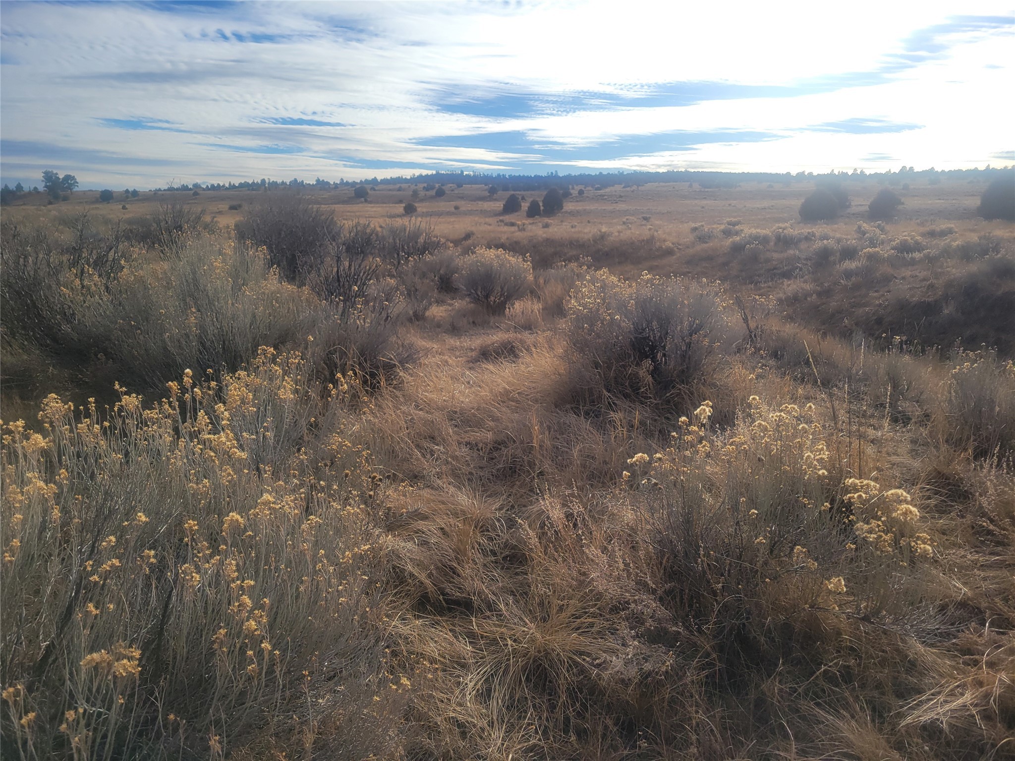 N3 Willow Way, Chama, New Mexico image 27