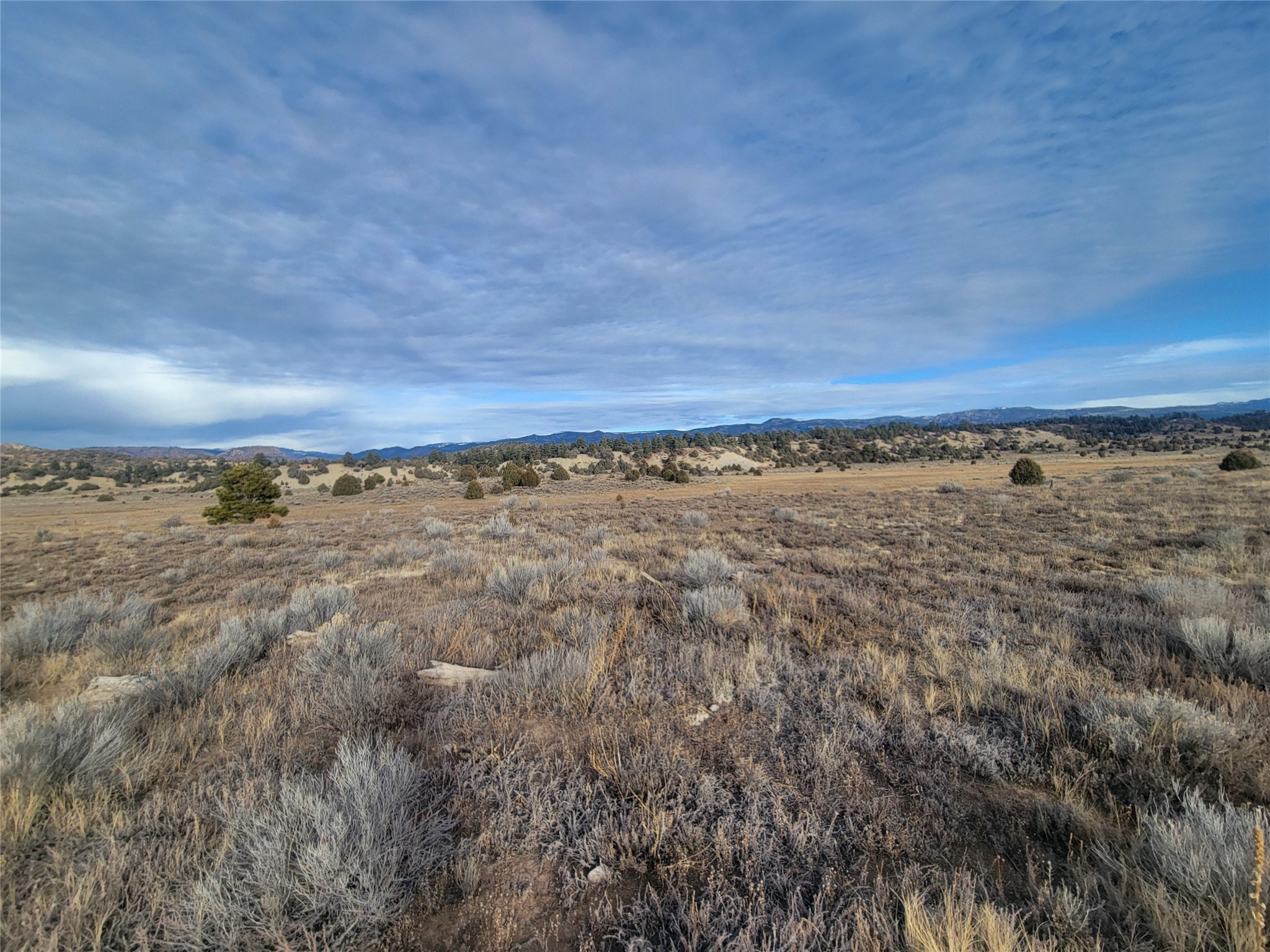 N3 Willow Way, Chama, New Mexico image 37