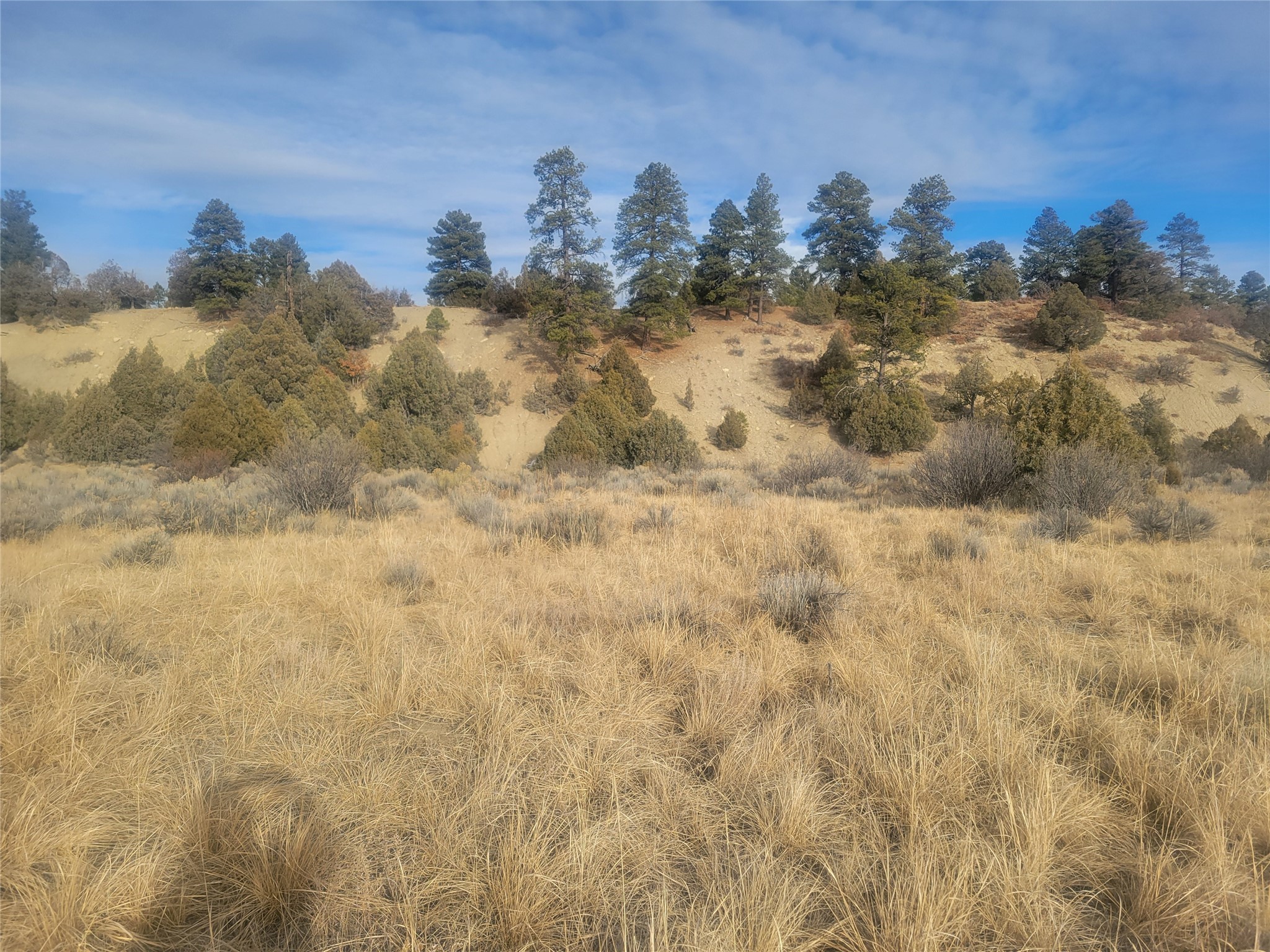 N3 Willow Way, Chama, New Mexico image 26