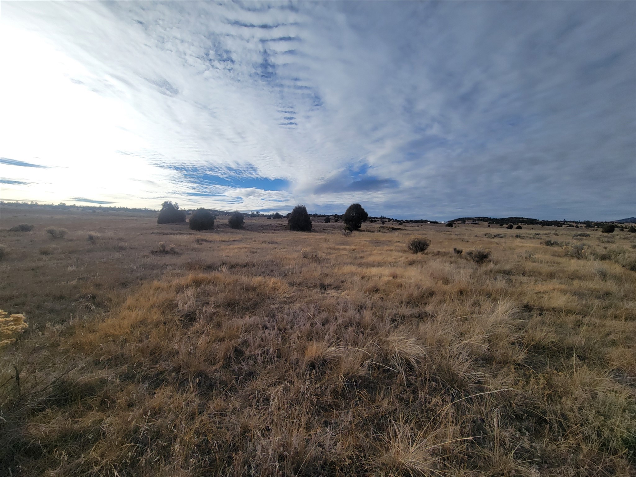 N3 Willow Way, Chama, New Mexico image 32