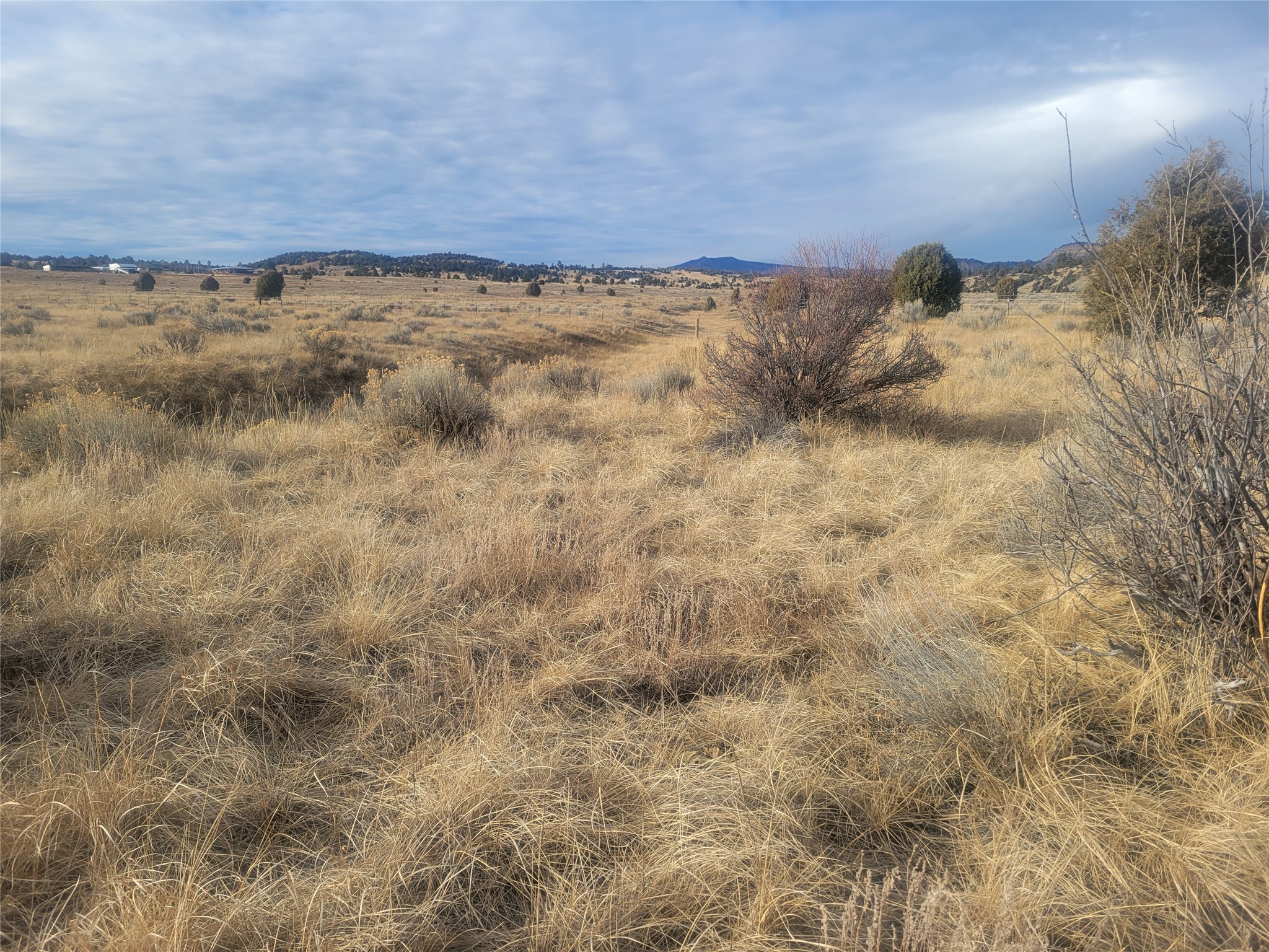 N3 Willow Way, Chama, New Mexico image 25