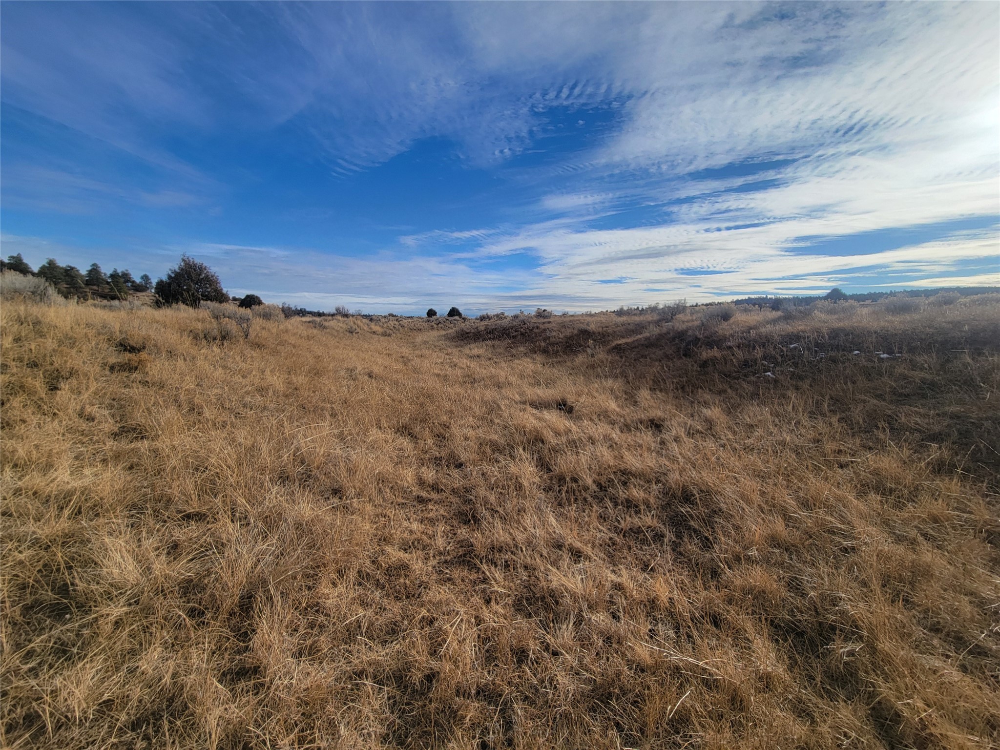 N3 Willow Way, Chama, New Mexico image 22