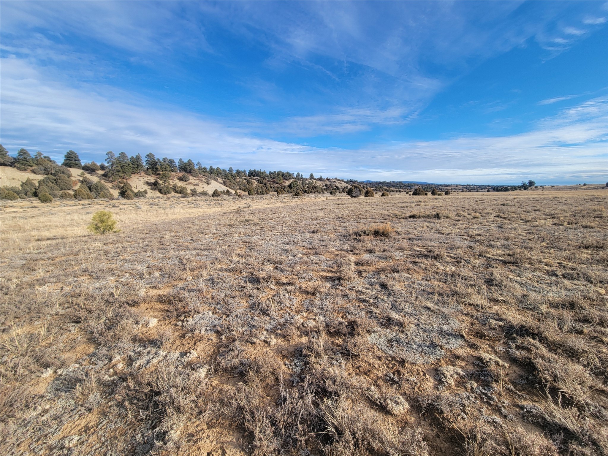 N3 Willow Way, Chama, New Mexico image 18