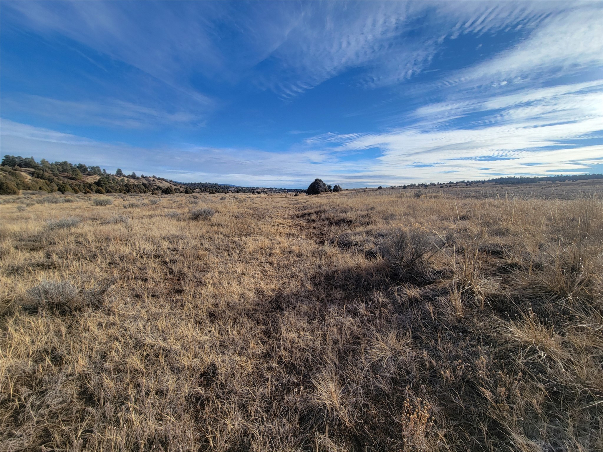 N3 Willow Way, Chama, New Mexico image 19