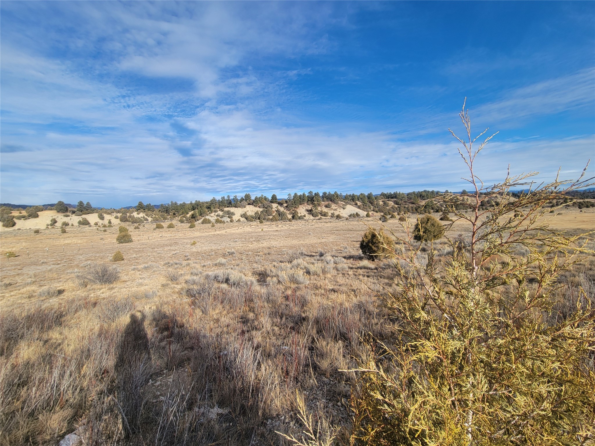 N3 Willow Way, Chama, New Mexico image 16