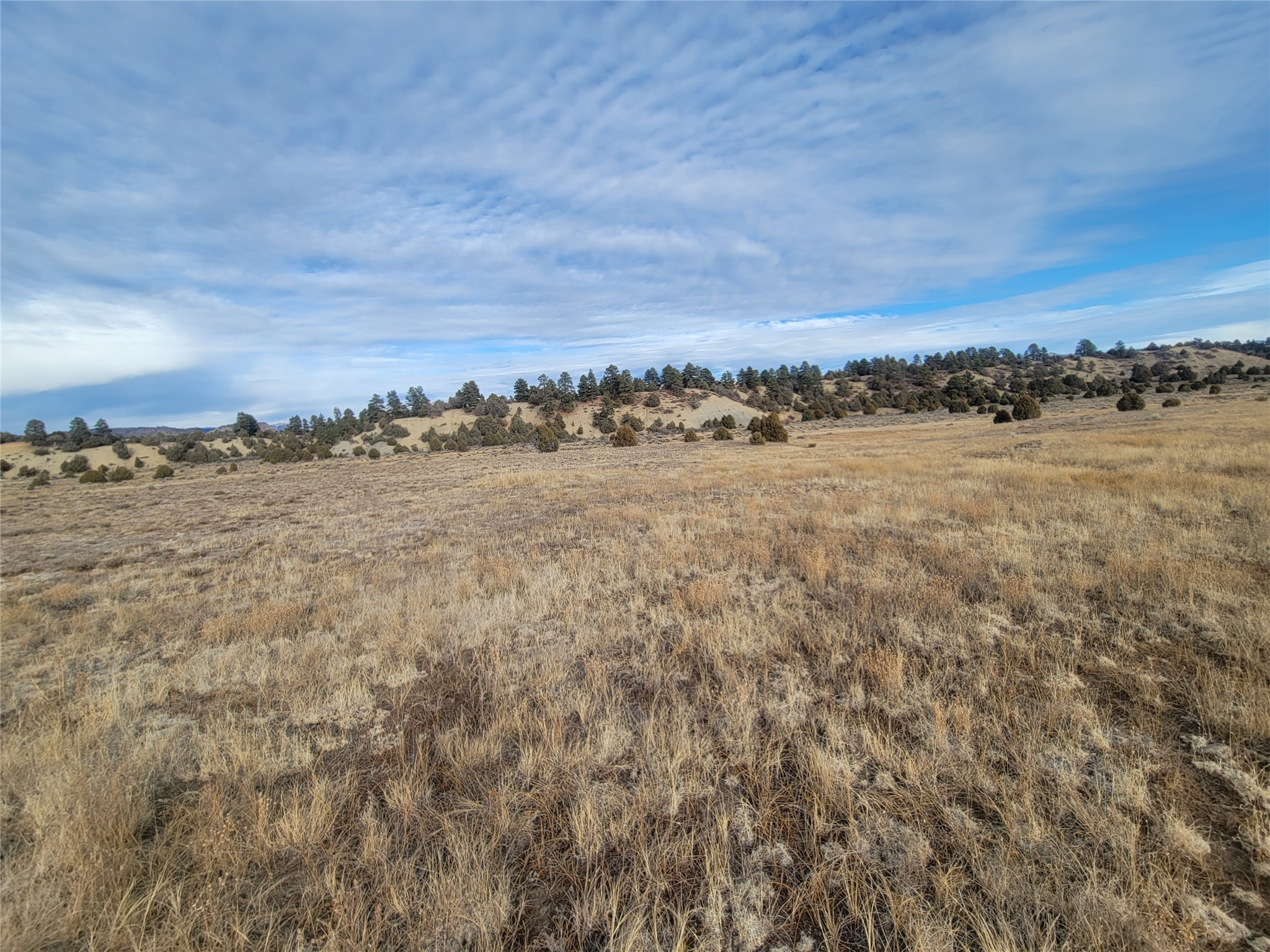 N3 Willow Way, Chama, New Mexico image 34