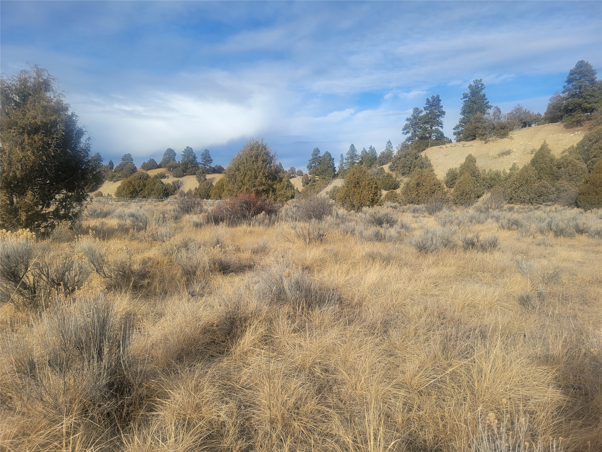 N3 Willow Way, Chama, New Mexico image 4