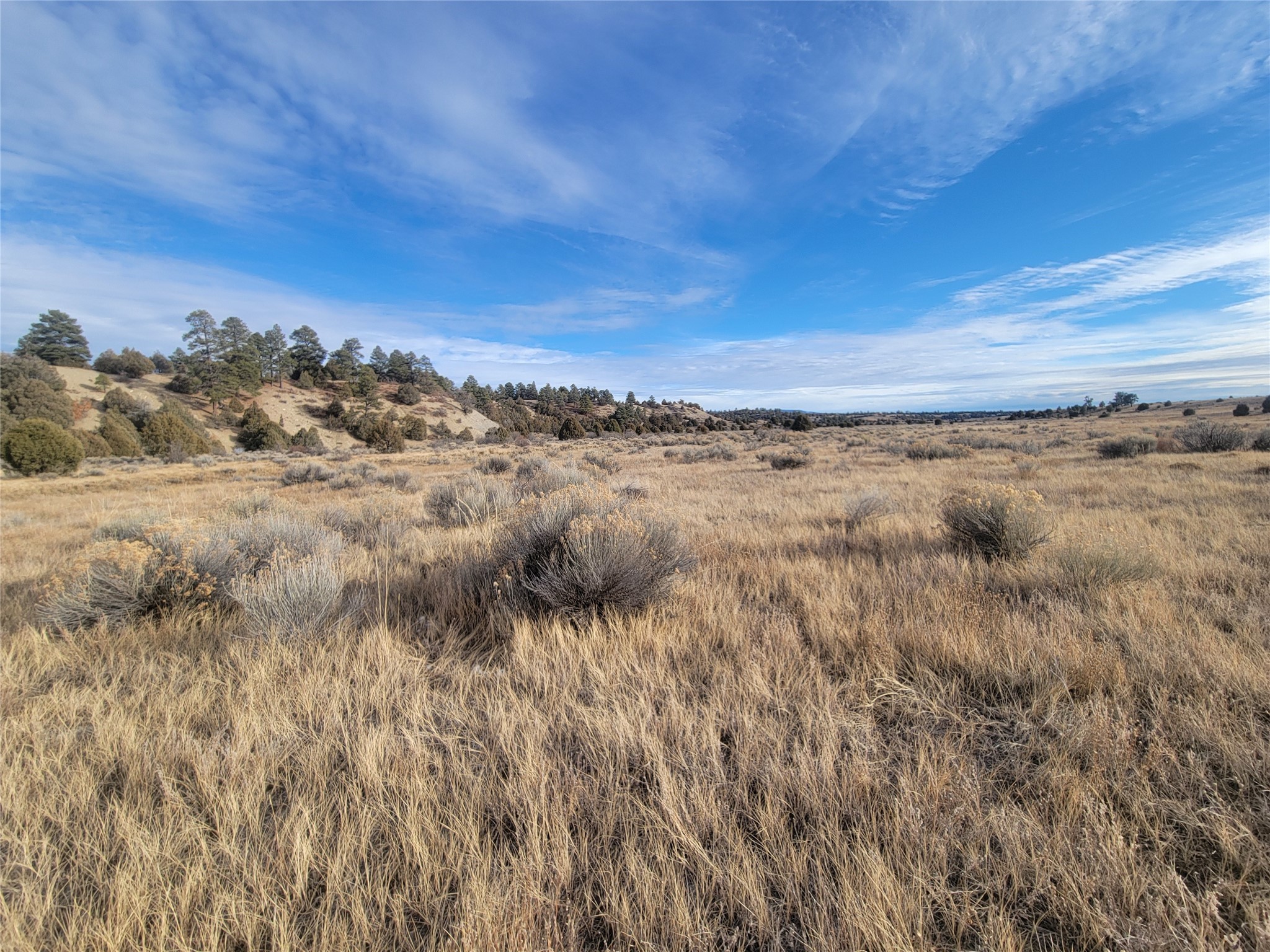 N3 Willow Way, Chama, New Mexico image 21