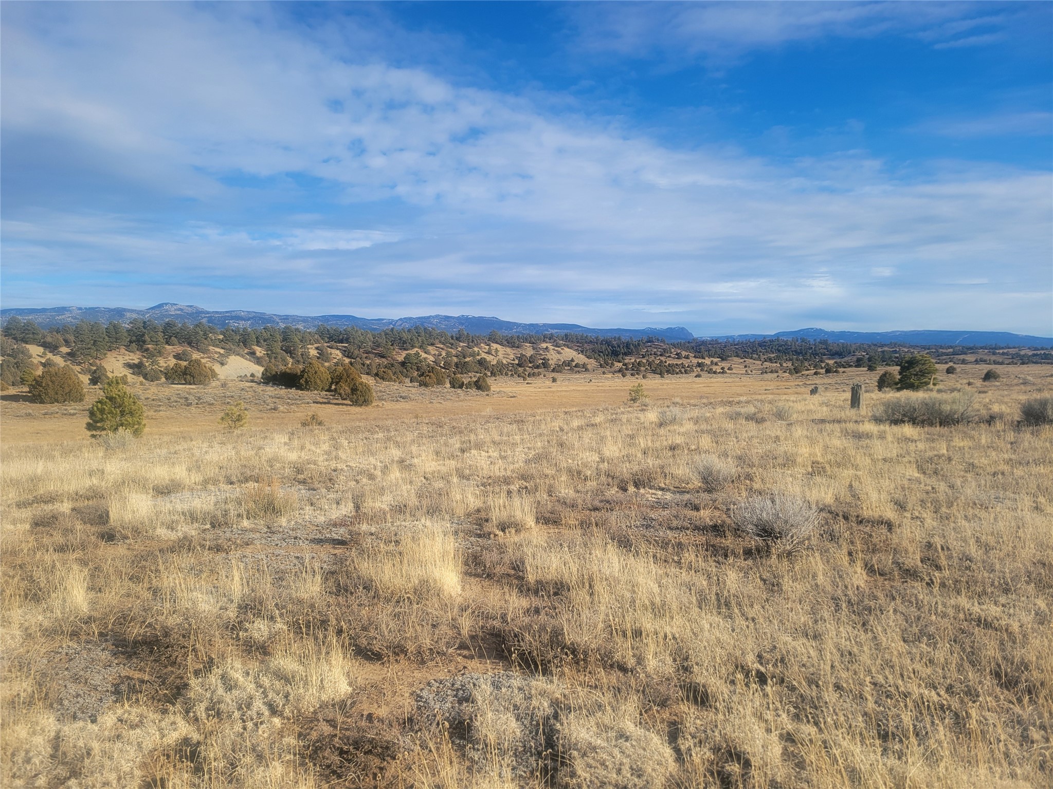 N3 Willow Way, Chama, New Mexico image 5