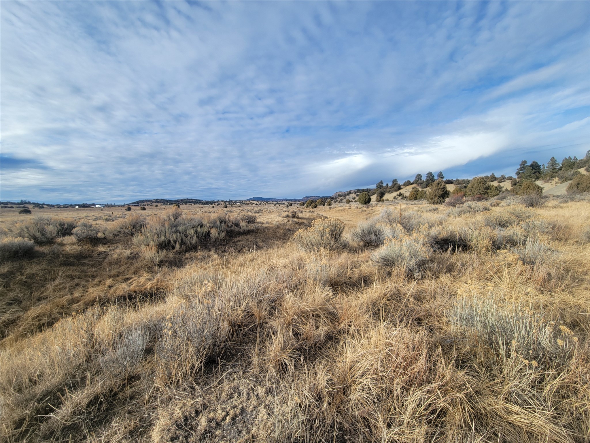N3 Willow Way, Chama, New Mexico image 28