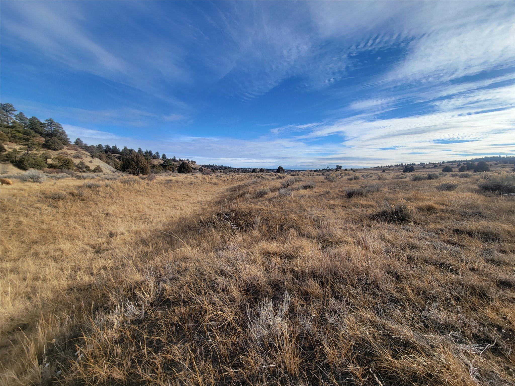 N3 Willow Way, Chama, New Mexico image 6