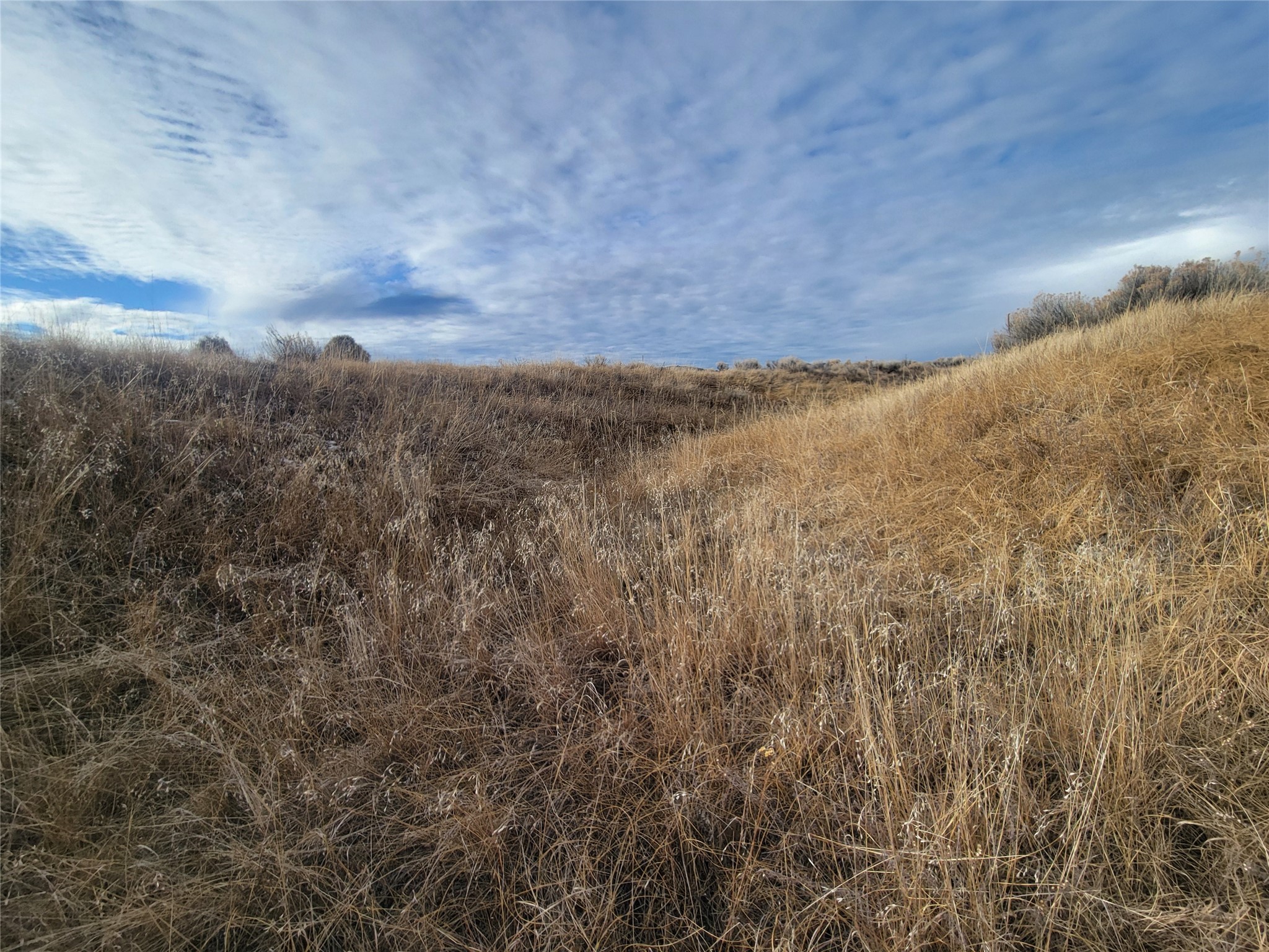 N3 Willow Way, Chama, New Mexico image 31