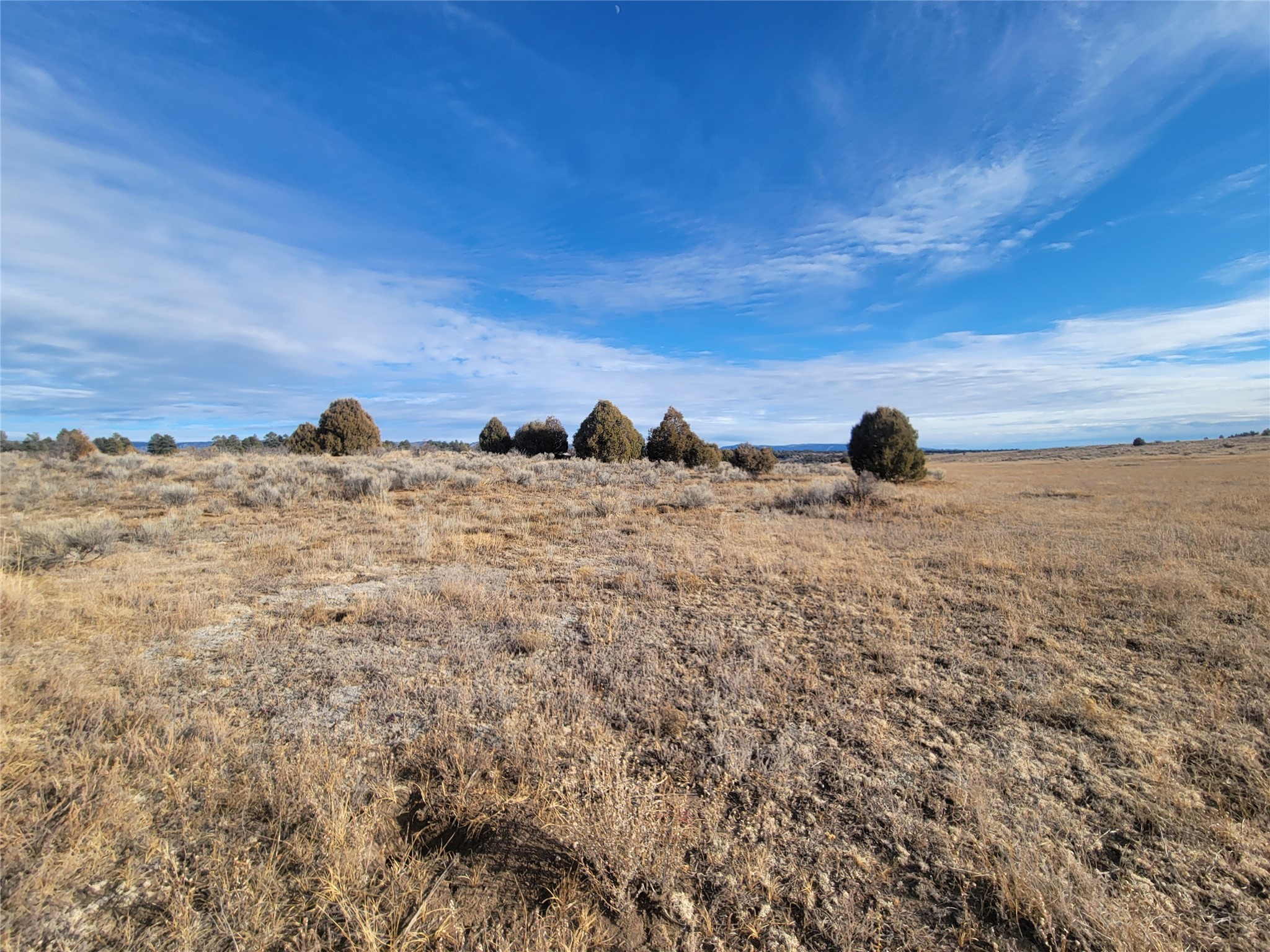 N3 Willow Way, Chama, New Mexico image 10