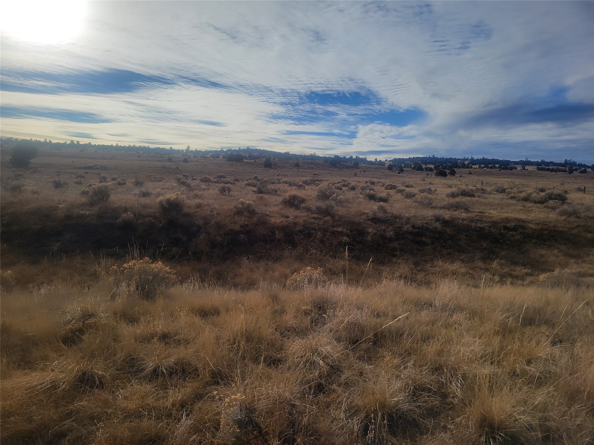 N3 Willow Way, Chama, New Mexico image 23