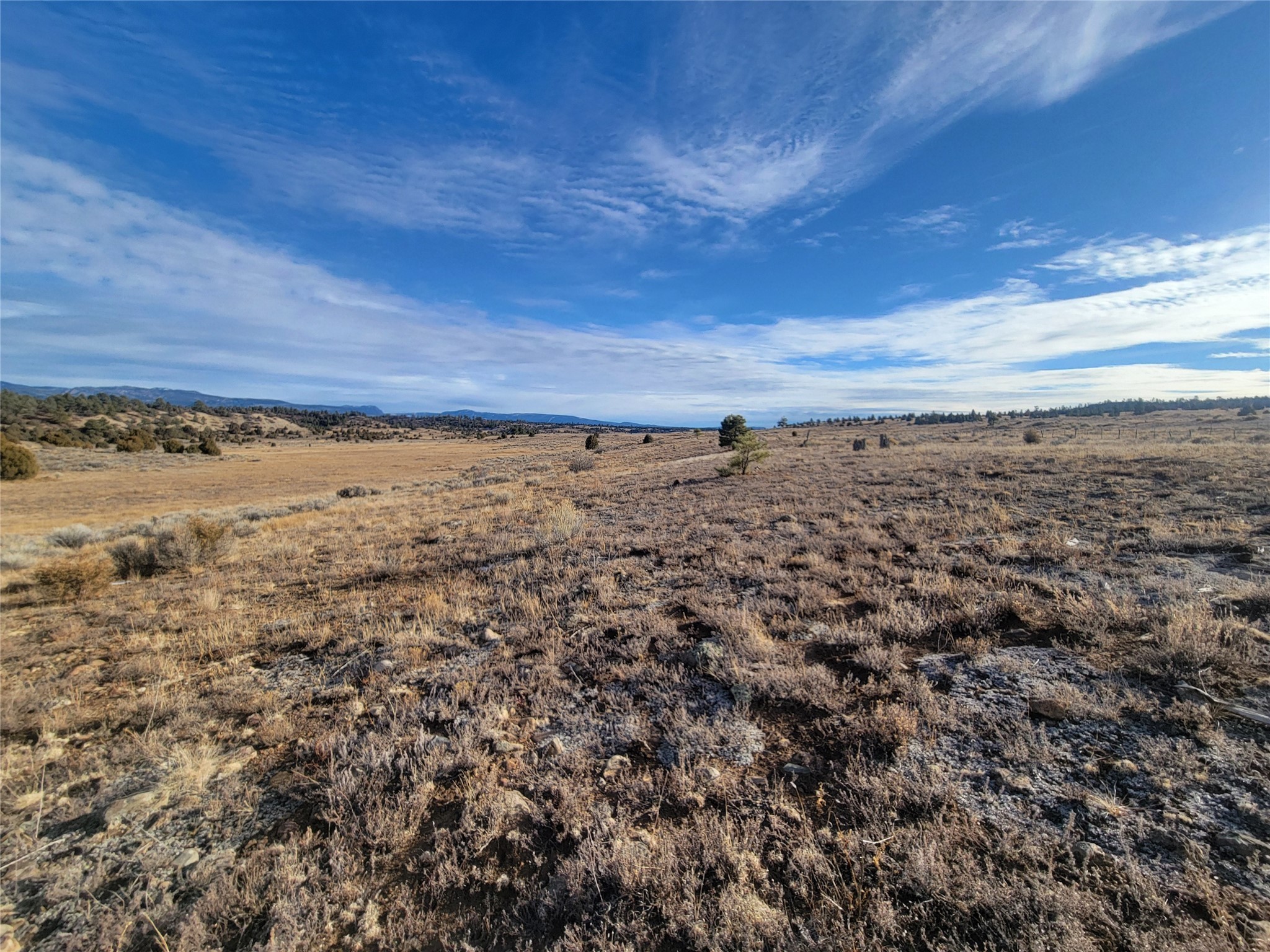 N3 Willow Way, Chama, New Mexico image 7