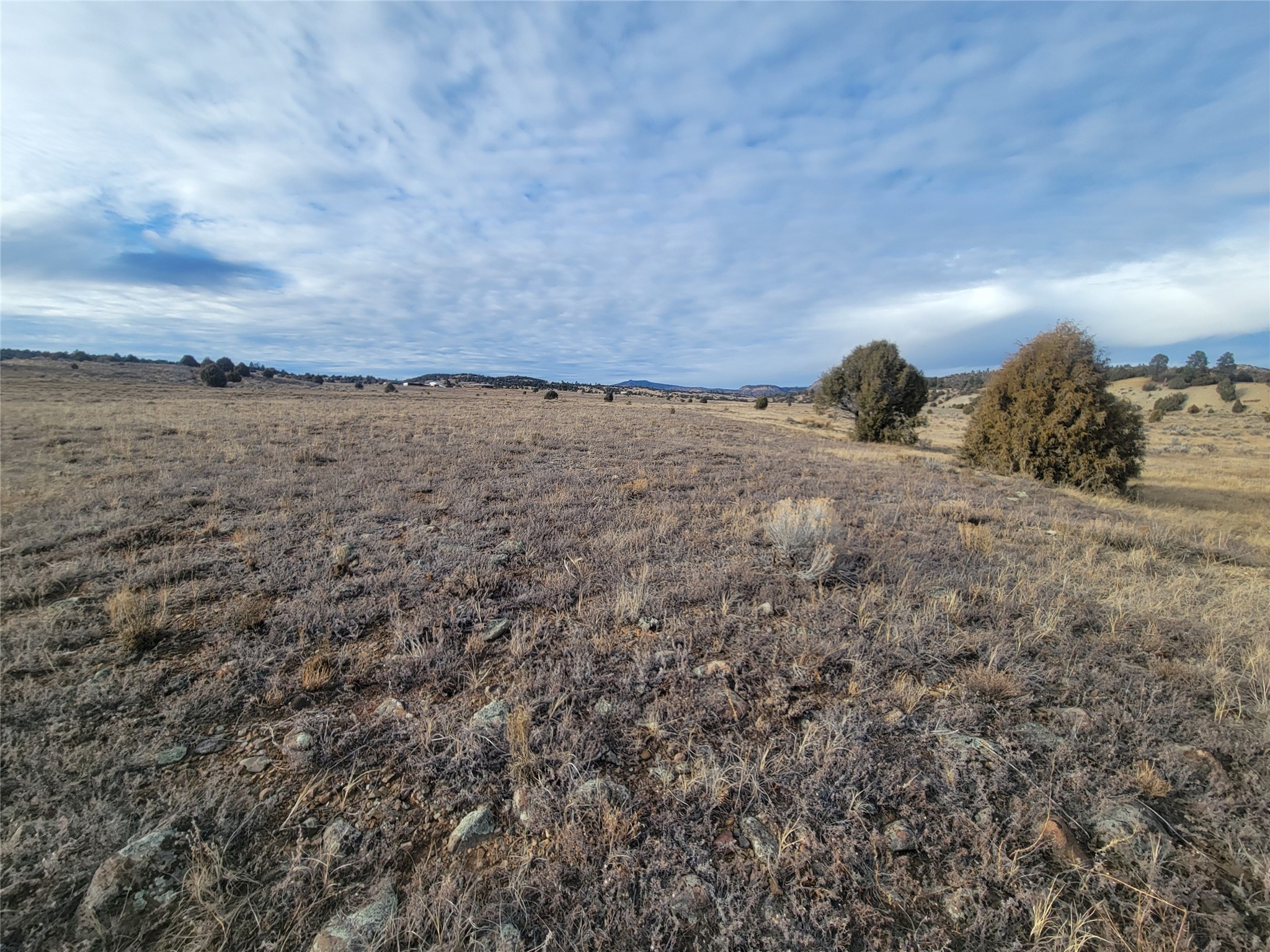 N3 Willow Way, Chama, New Mexico image 33